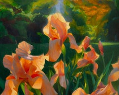 "Tangerine Irises" (2024) By Adrienne Stein, Original Oil Floral Painting