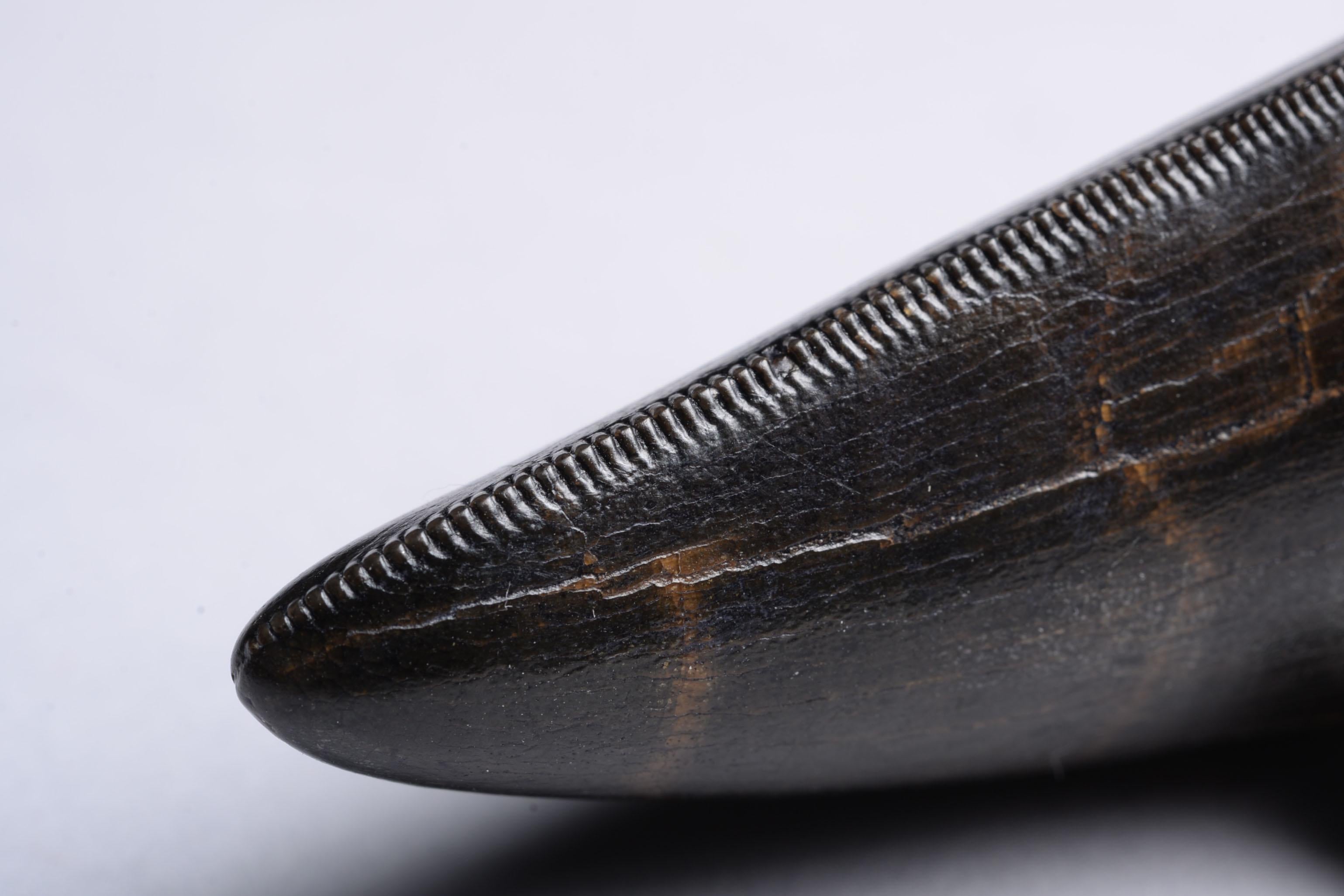 t rex tooth for sale