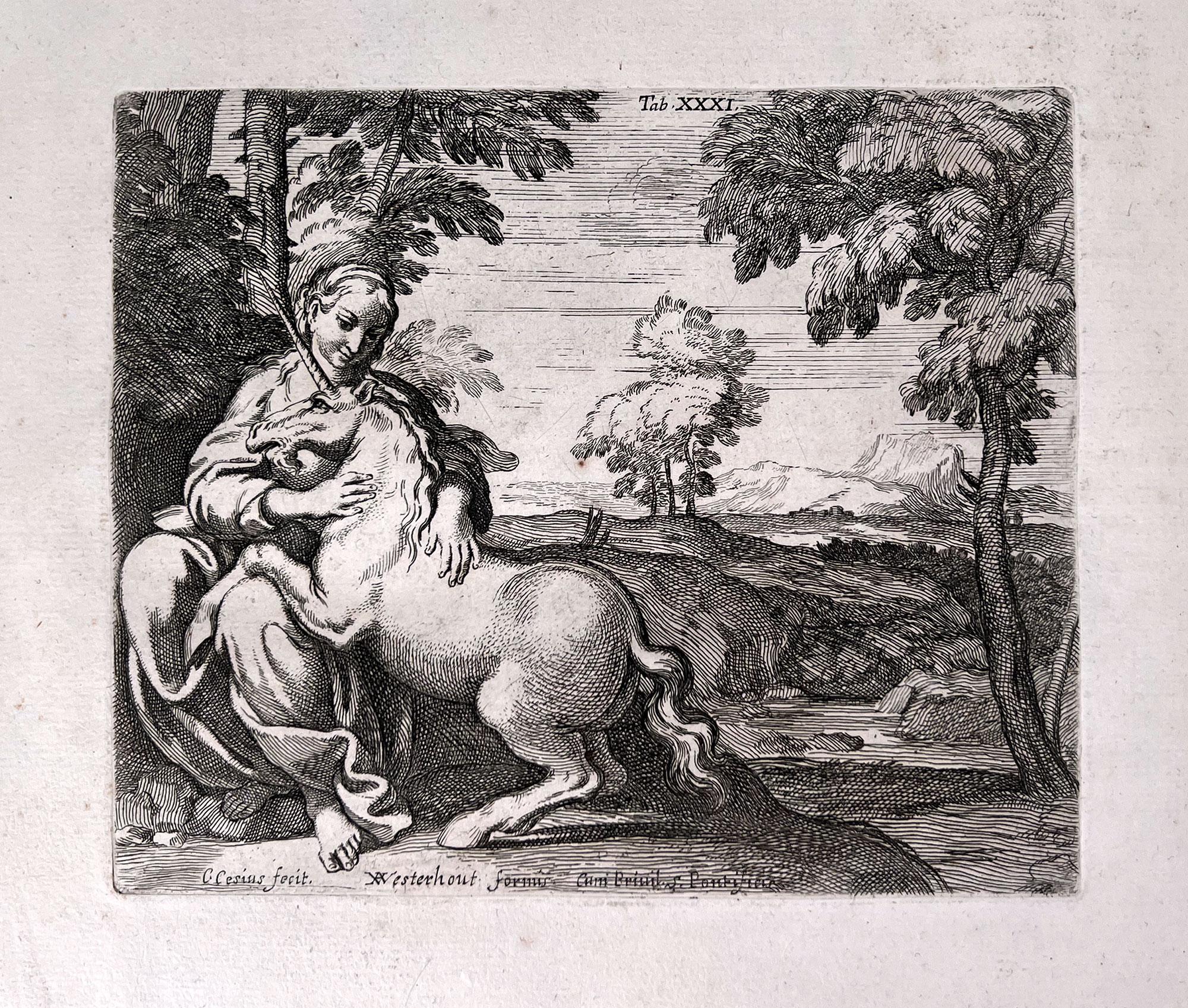 Aedium Farnesiarum Tabulae, Annibale CARRACCI, 1753 -folio surdimensionné en vente 5