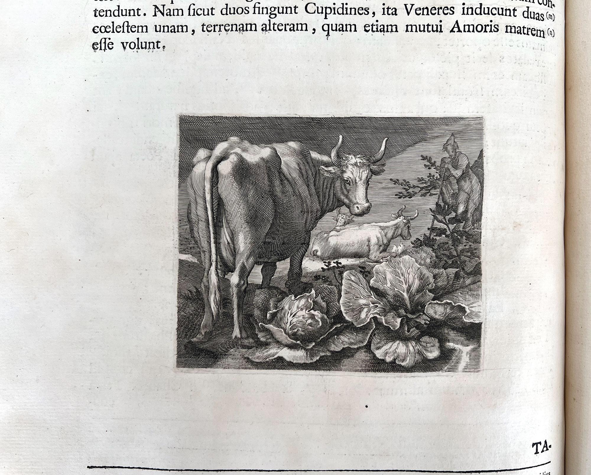 Aedium Farnesiarum Tabulae, Annibale CARRACCI, 1753 -folio surdimensionné en vente 6