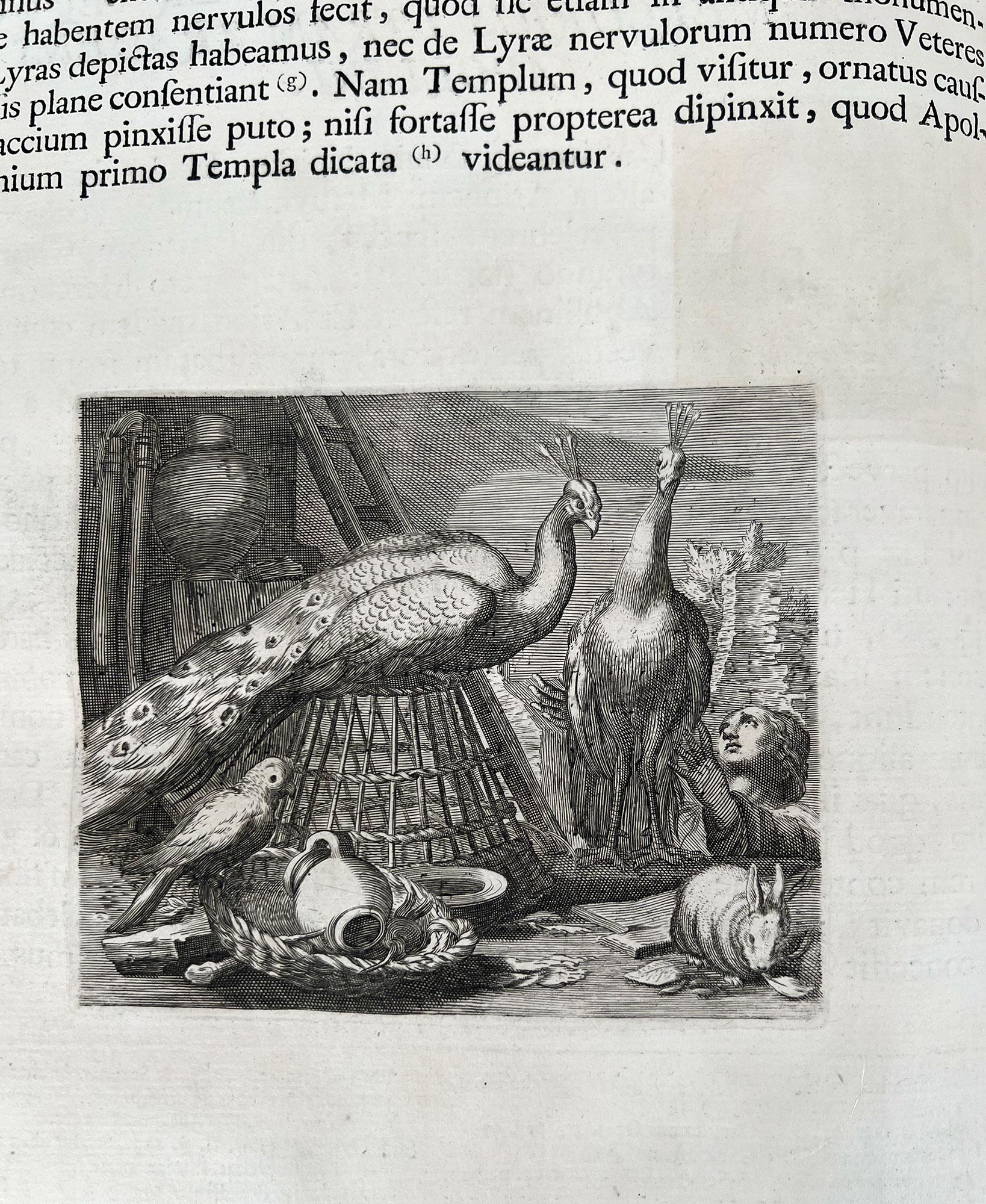 Aedium Farnesiarum Tabulae, Annibale CARRACCI, 1753 -folio surdimensionné en vente 7