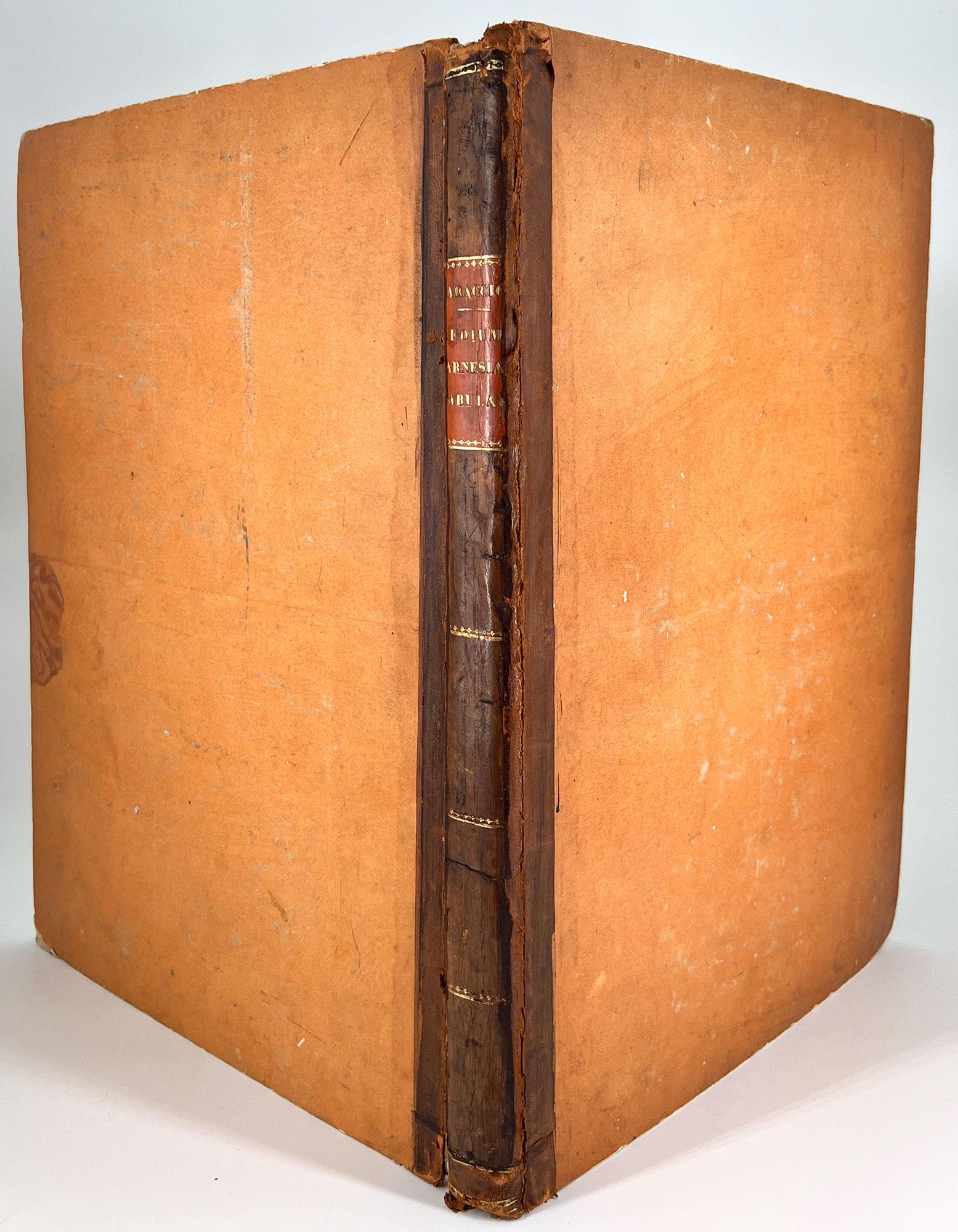 Aedium Farnesiarum Tabulae, Annibale CARRACCI, 1753 -folio surdimensionné en vente 12