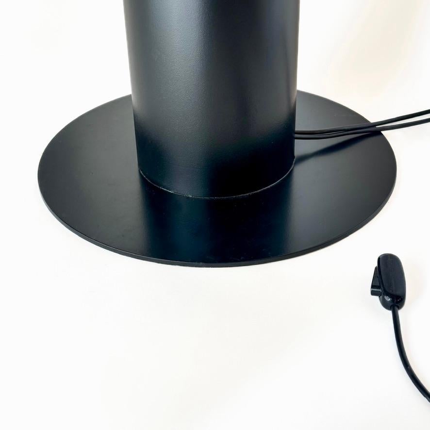 Aluminum Aella Floor Lamp by Renato Toso & Giovanna Noti Massari for Leucos 1968 For Sale