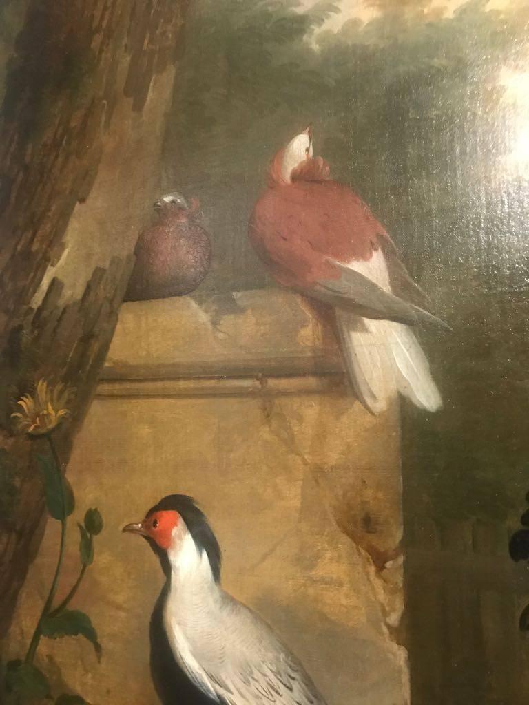 Extraordinary 18th Century Oil Painting of Ornamental Birds in a Landscape 1