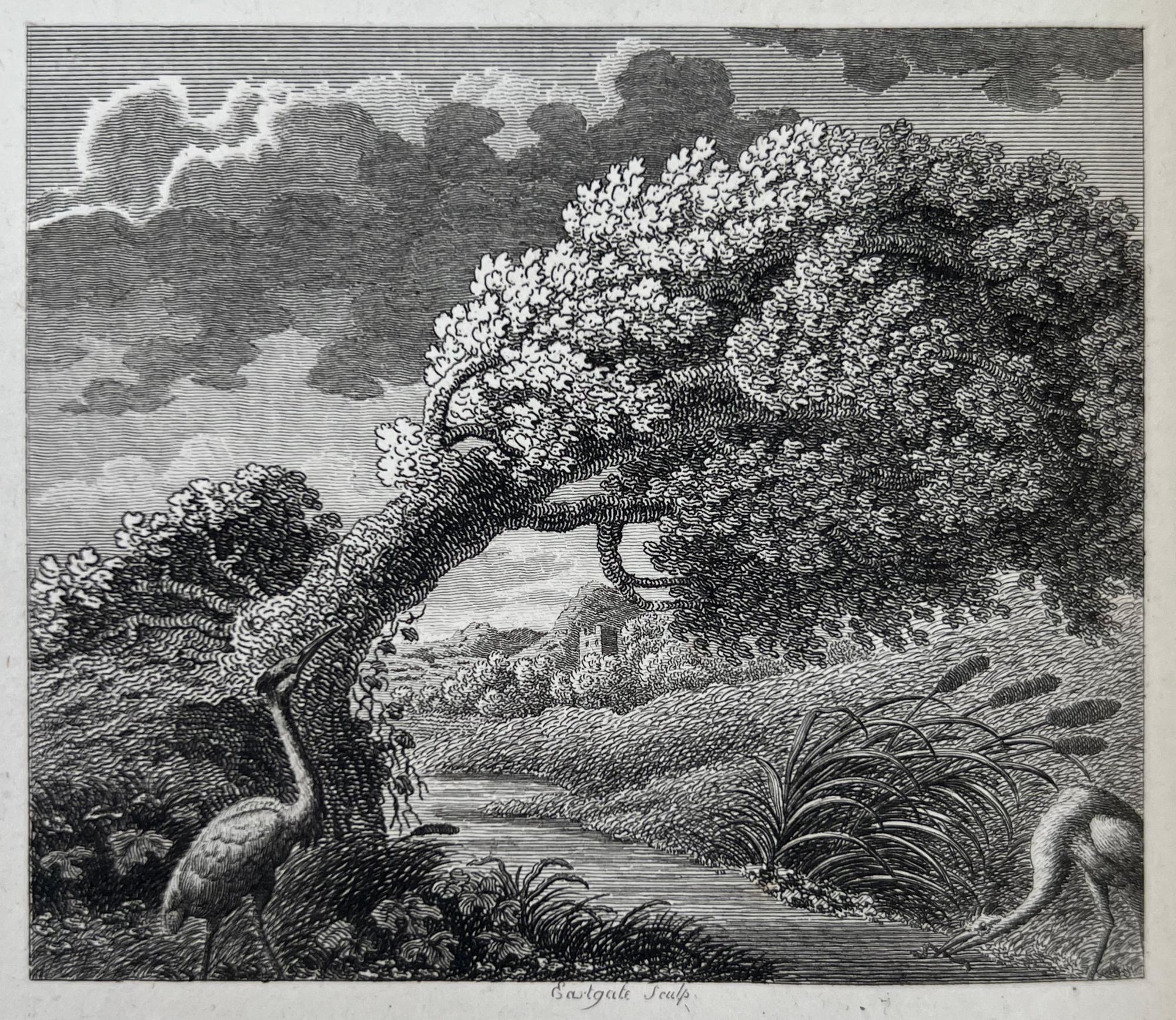 English Aesop's Fables - 1793 Stockdale ILLUSTRATED EDITION, Bedford binding For Sale