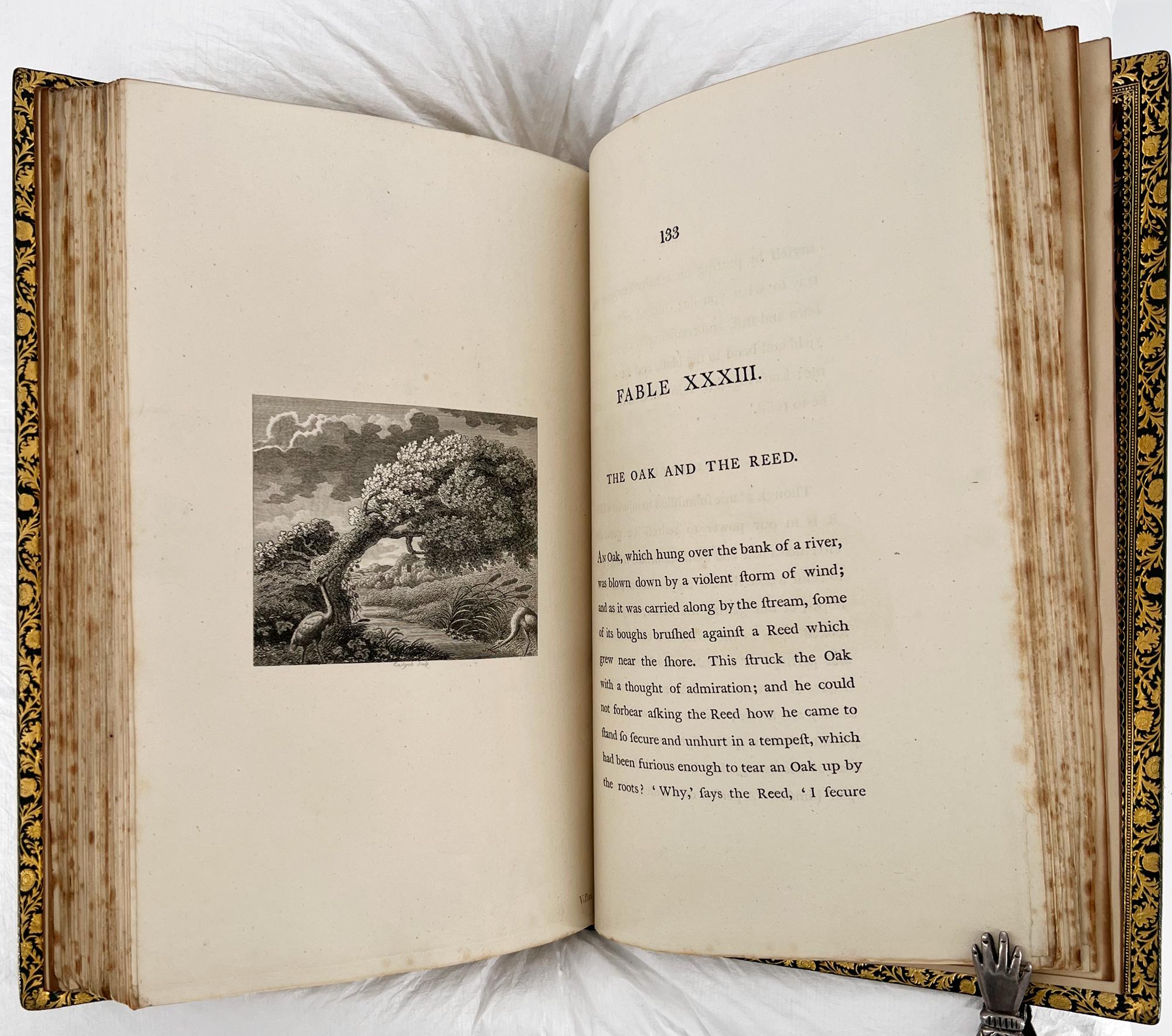 Leather Aesop's Fables - 1793 Stockdale ILLUSTRATED EDITION, Bedford binding For Sale