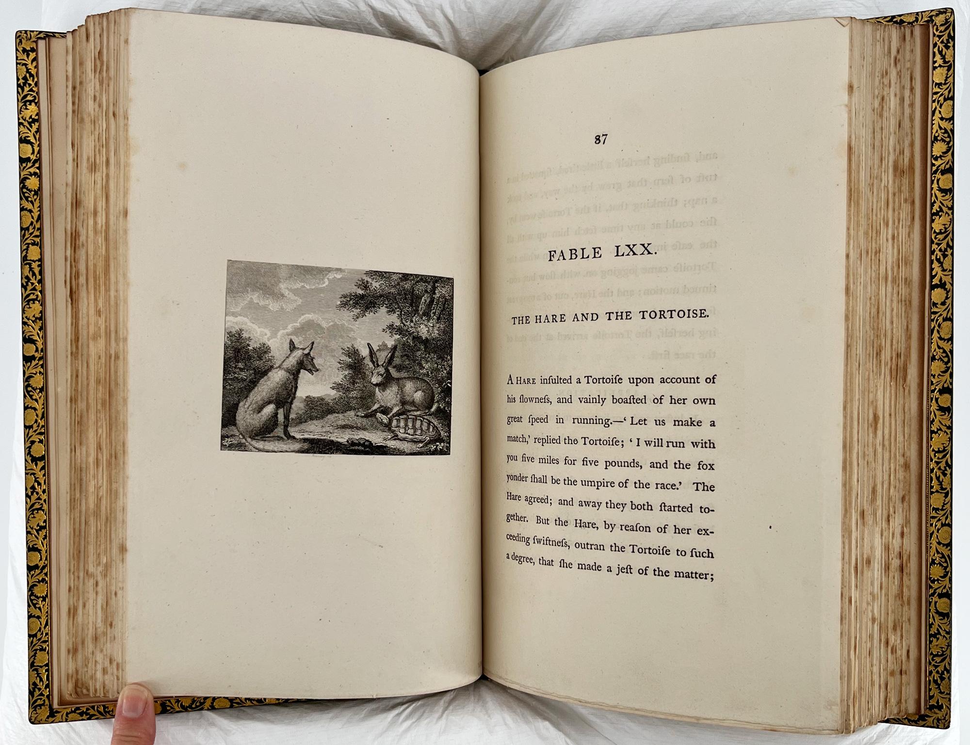 Aesop's Fables - 1793 Stockdale ILLUSTRATED EDITION, Bedford binding For Sale 1