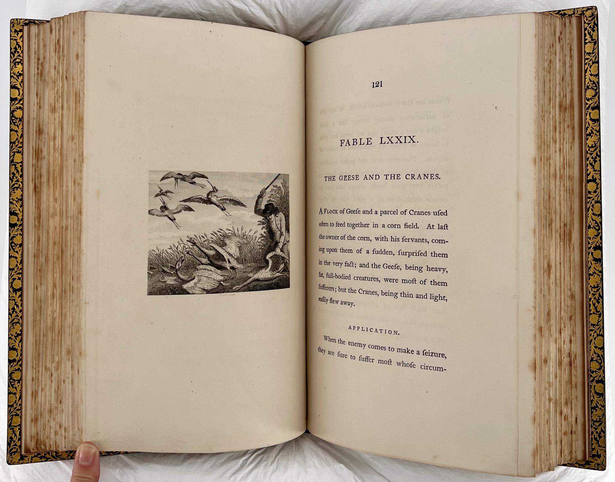 Aesop's Fables - 1793 Stockdale ILLUSTRATED EDITION, Bedford binding For Sale 2