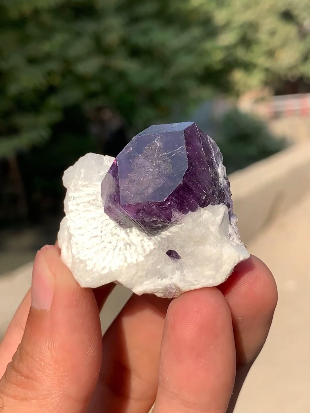 Badakhshan Province, Afghanistan 

Dim: H: 3.7 x W: 4.3 x D: 2.5 cm

Wt: 35 g

Specimen Type: Very aesthetic and rare gem quality vibrant purple color Scapolite on Calcite 

Treatment: None 

Color: Purple 





Vibrant purple Scapolite crystals on