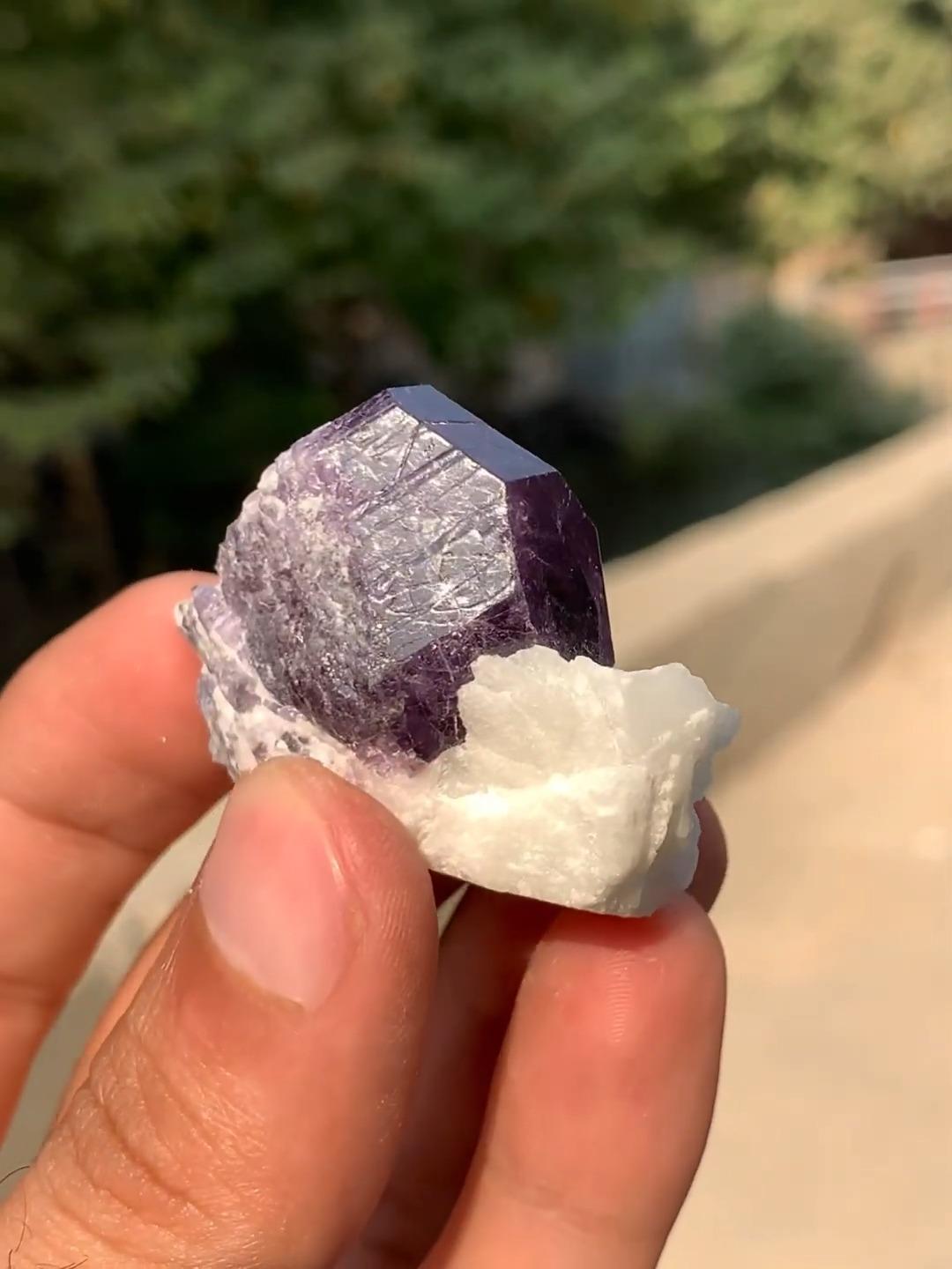 Ästhetische und seltene lebhafte lila Scapolite auf Calcite aus Afghanistan in lebhafter Qualität (Ungeschliffen)