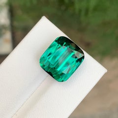 Afghan Mine 16.30 Carats Blue Green Loose Tourmaline Gem