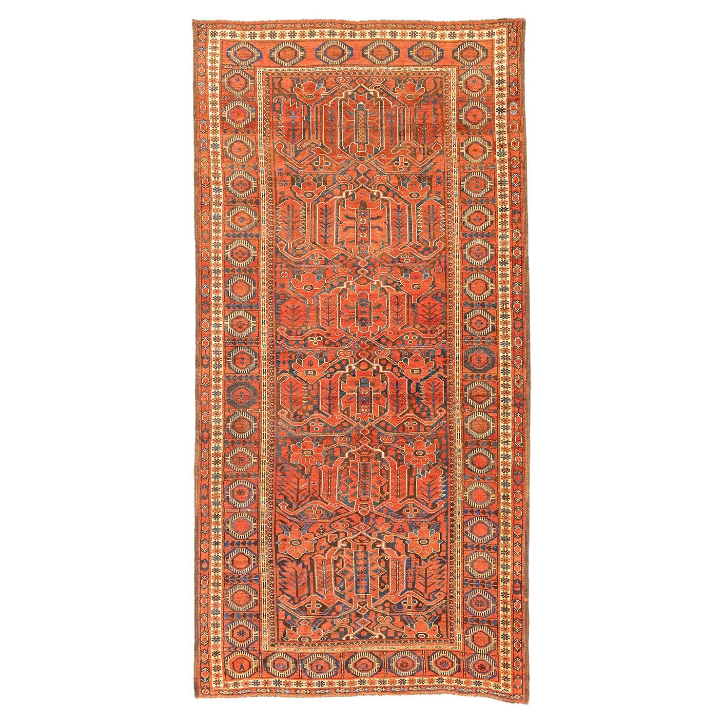 Afghanenteppich Baschir