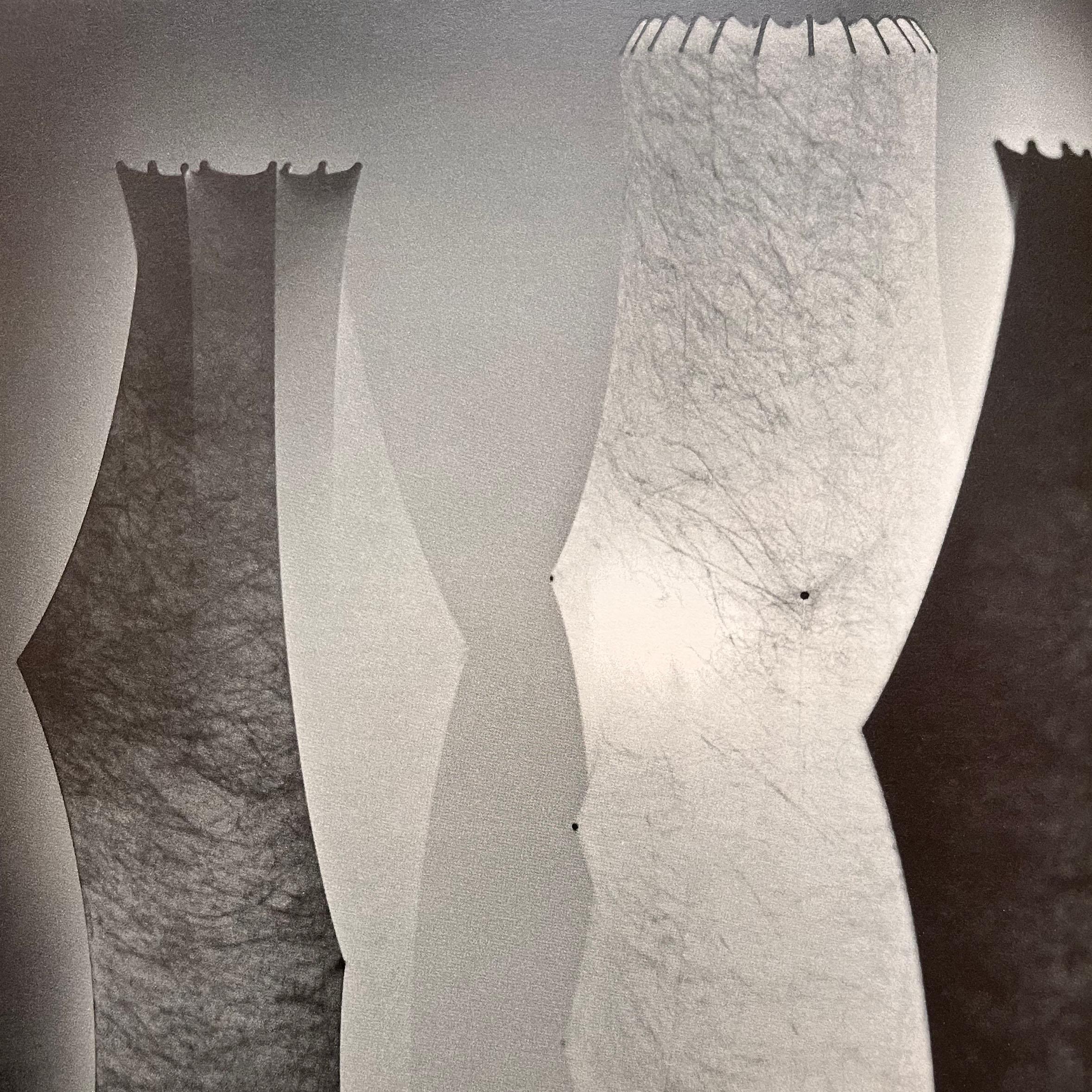 Afra & Tobia Scarpa, Fantasma, lampada da terra, Flos, anni '60 1