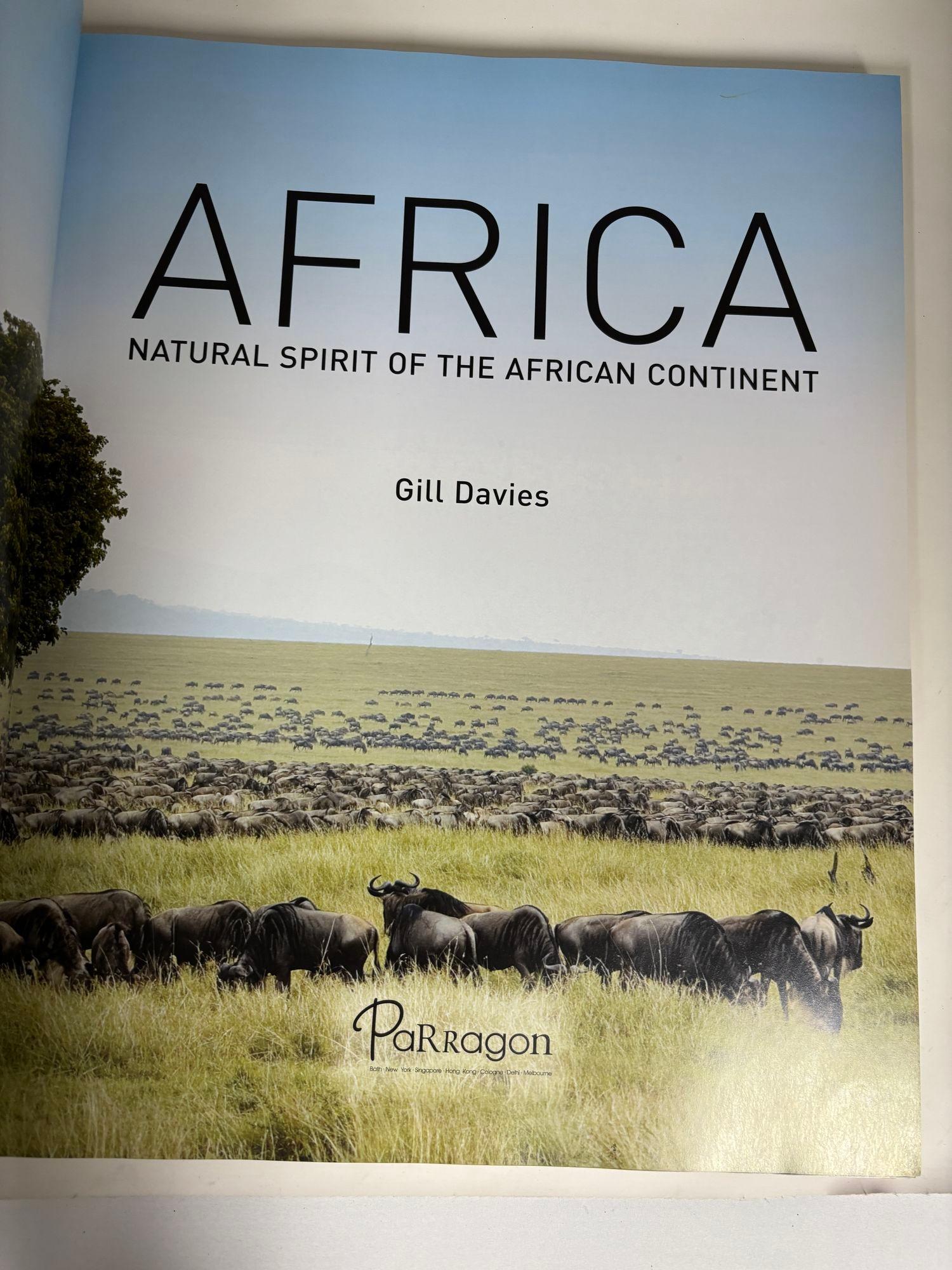 Africa Natural Spirit of the African Continent Oversized Hardcover Gill Davis For Sale 7