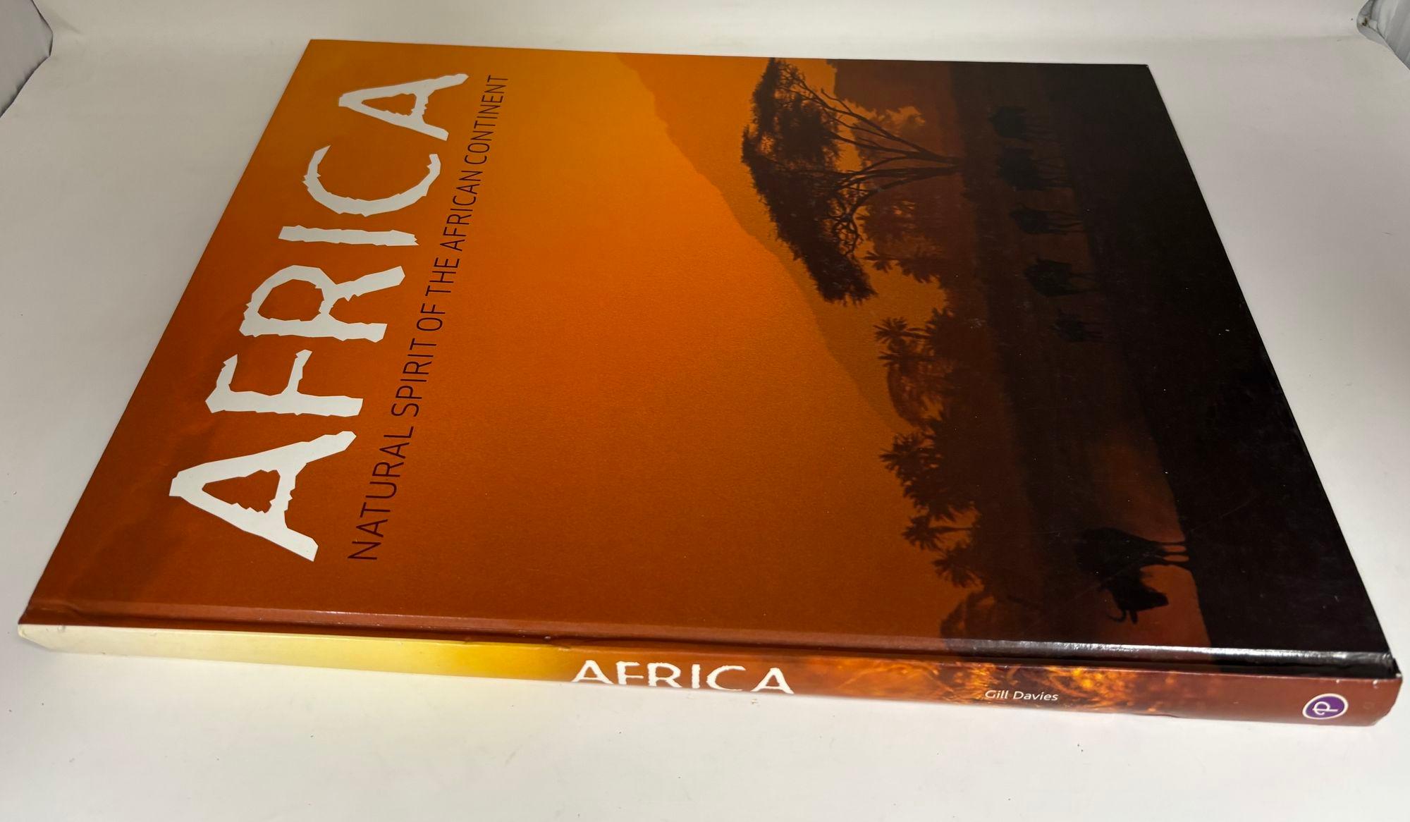Expressionist Africa Natural Spirit of the African Continent Oversized Hardcover Gill Davis For Sale