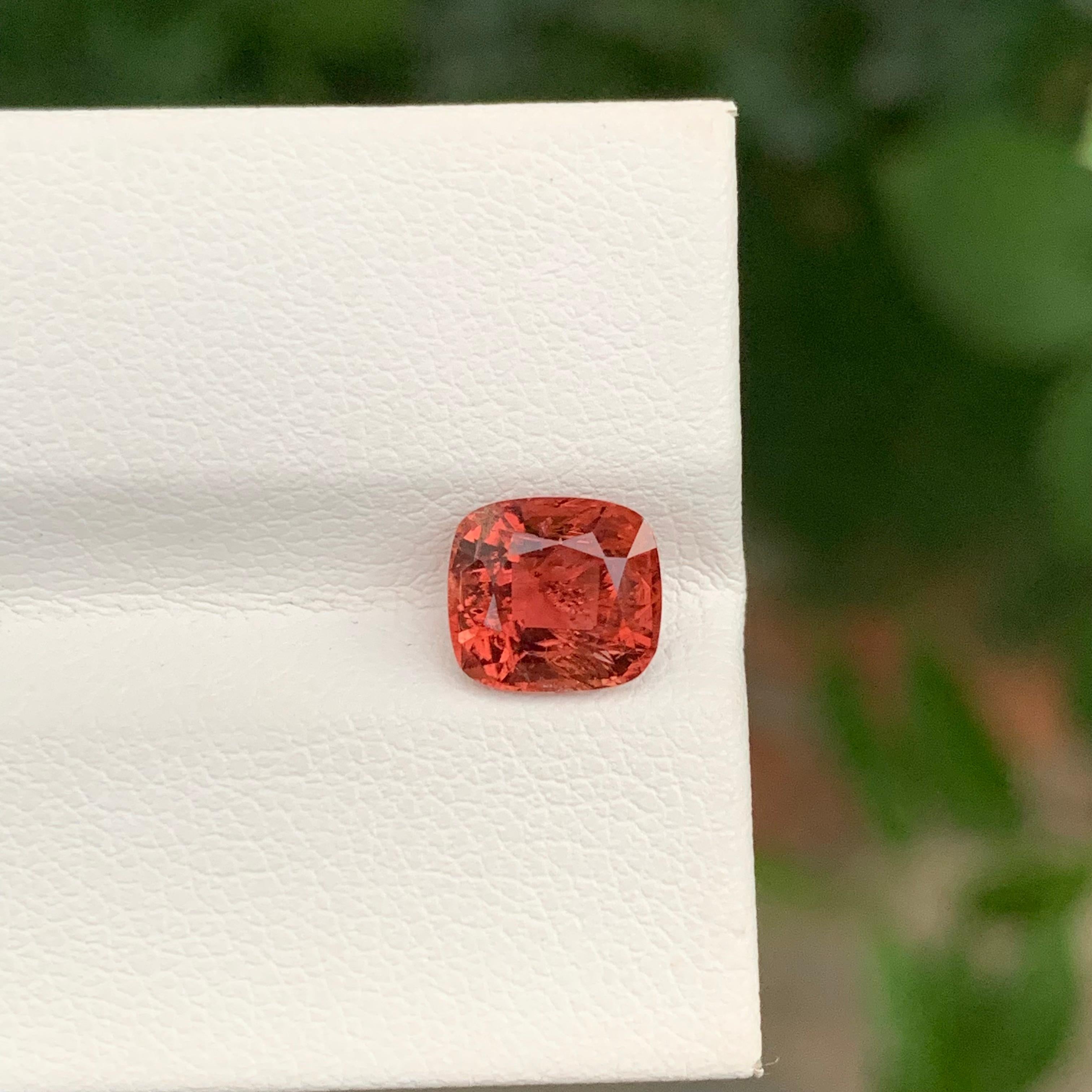 Loose Peachy Red Tourmaline

Weight: 1.80 Carats
Dimension: 7.4 x 6.7 x 4.9 Mm
Origin: Central African Republic 
Certificate: On Demand
Treatment: Non


Tourmaline is a captivating gemstone known for its remarkable variety of colors, making it a