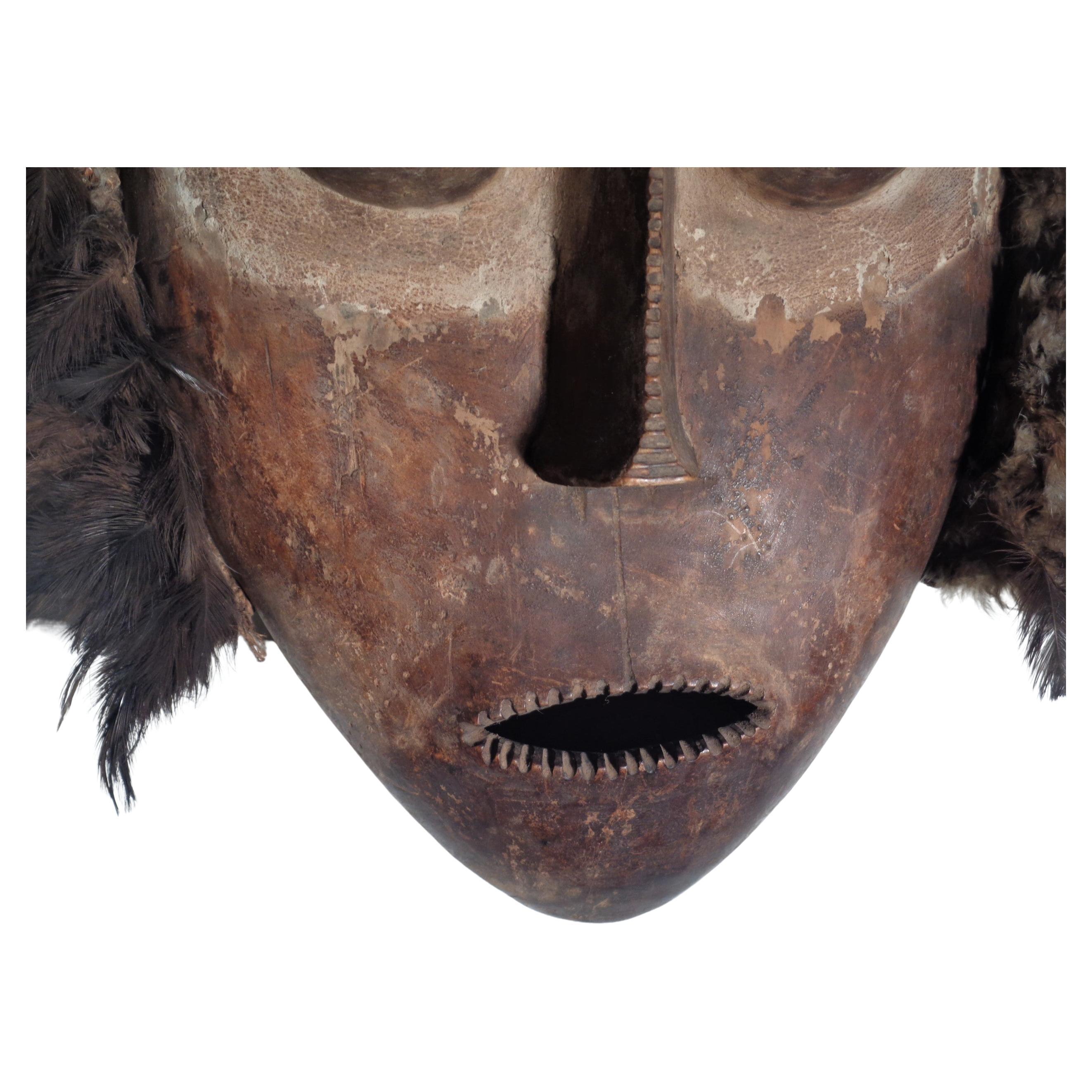 African Bembe mask with feathers from Congo region in original aged pigmented color to wood. From a private collection of tribal art ( inventory numbers on inside bottom ) circa 1970's. Look at all pictures and read condition report in comment