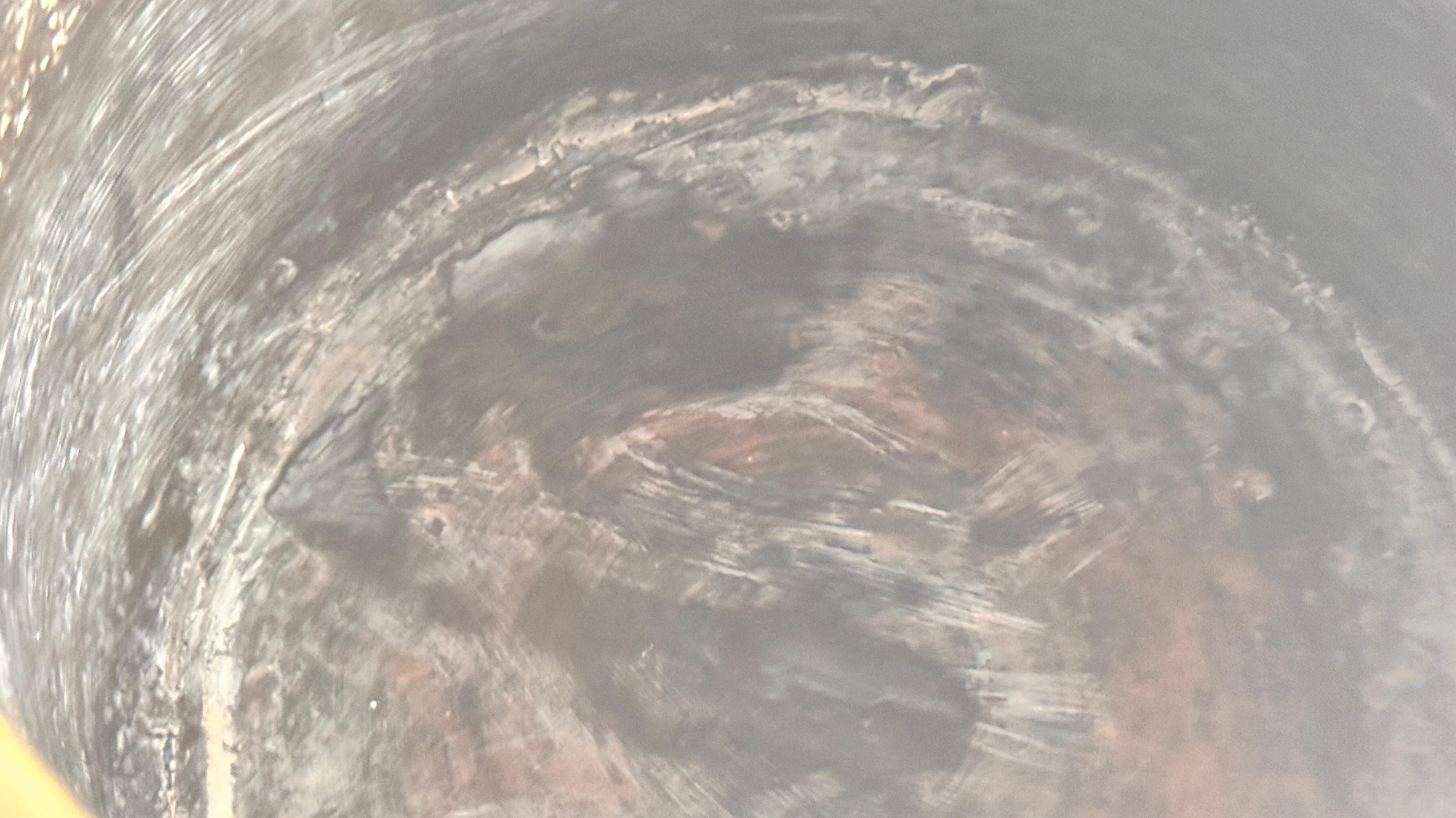 African Brass Plant Stand / Vide-Poche — Pierced Botanical Decor For Sale 2