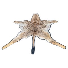 African Giraffe Hide Rug - Male With Black Felt Backing  Taxidermy Floor Decor