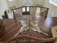 Tappeto di pelle di giraffa africana - Maschio con fondo in feltro nero Decorazione da pavimento in tassidermia