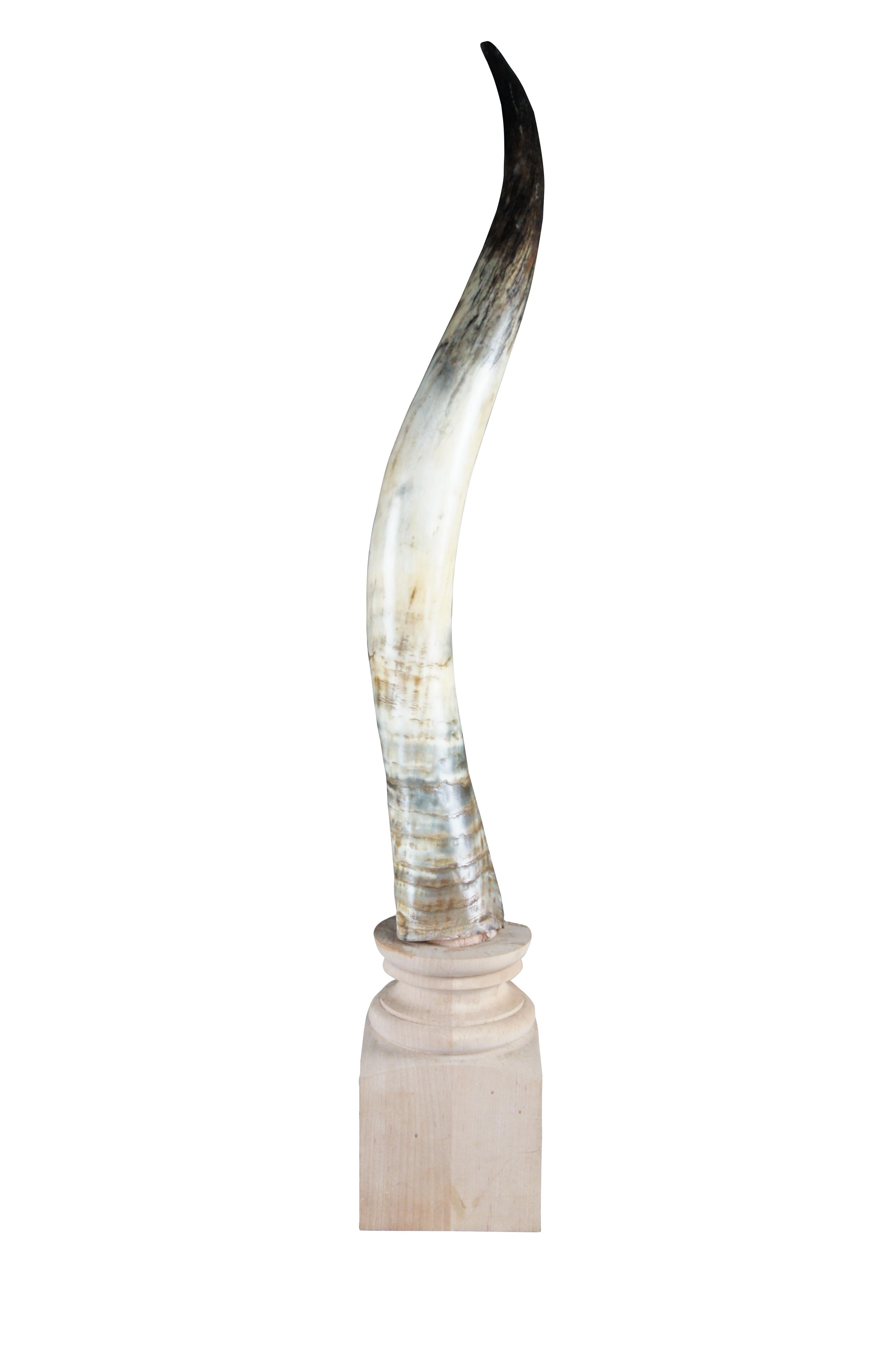Kudu horn over plinth base. Features realistic patina and modern styling.

Dimensions:
6