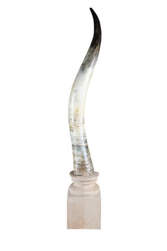 African Kudu Antler Horn Sculpture on Wooden Stand Taxidermy Lodge Decor 40"