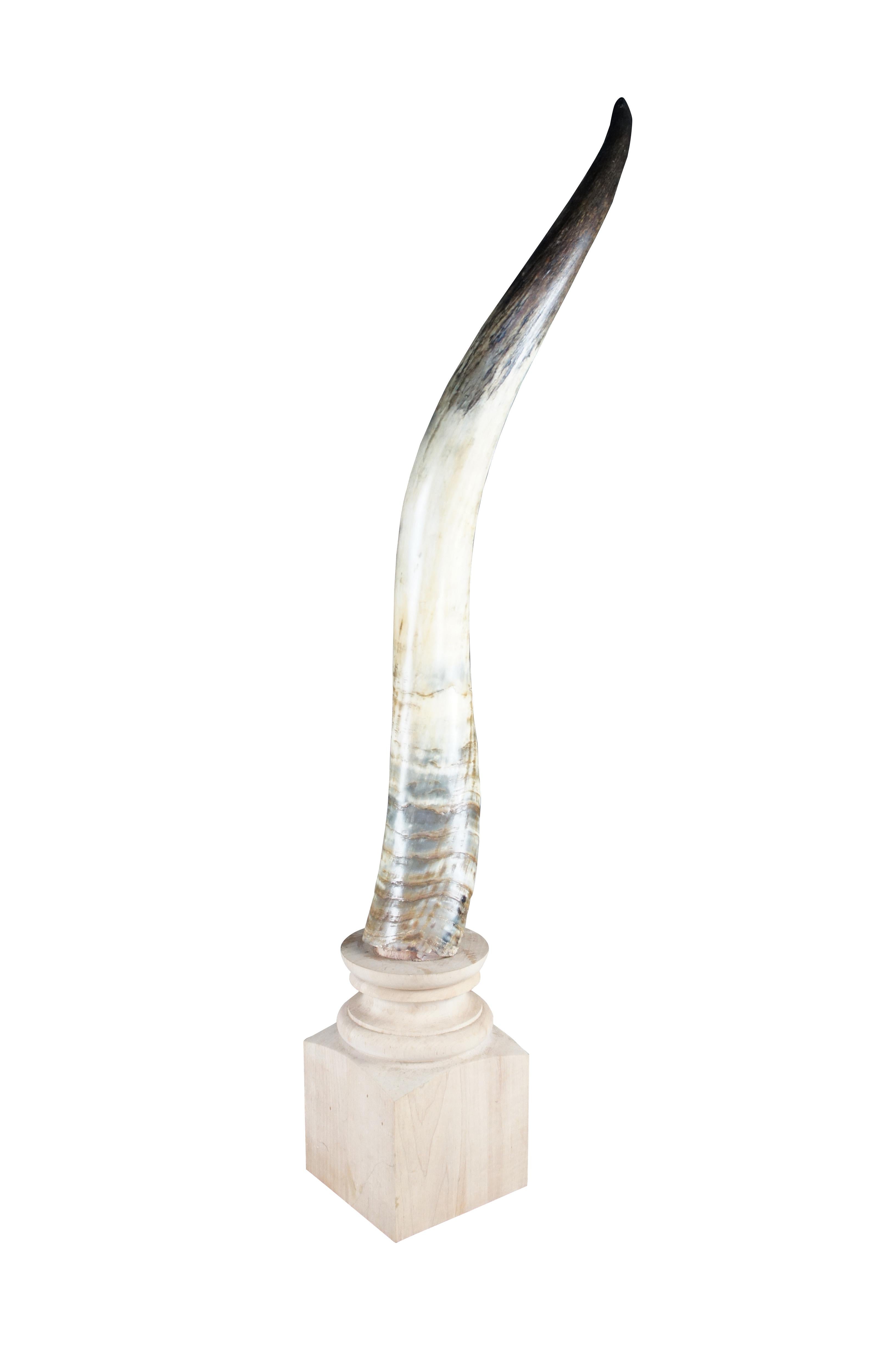 African Kudu Antler Horn Sculpture on Wooden Stand Taxidermy Lodge Decor 40