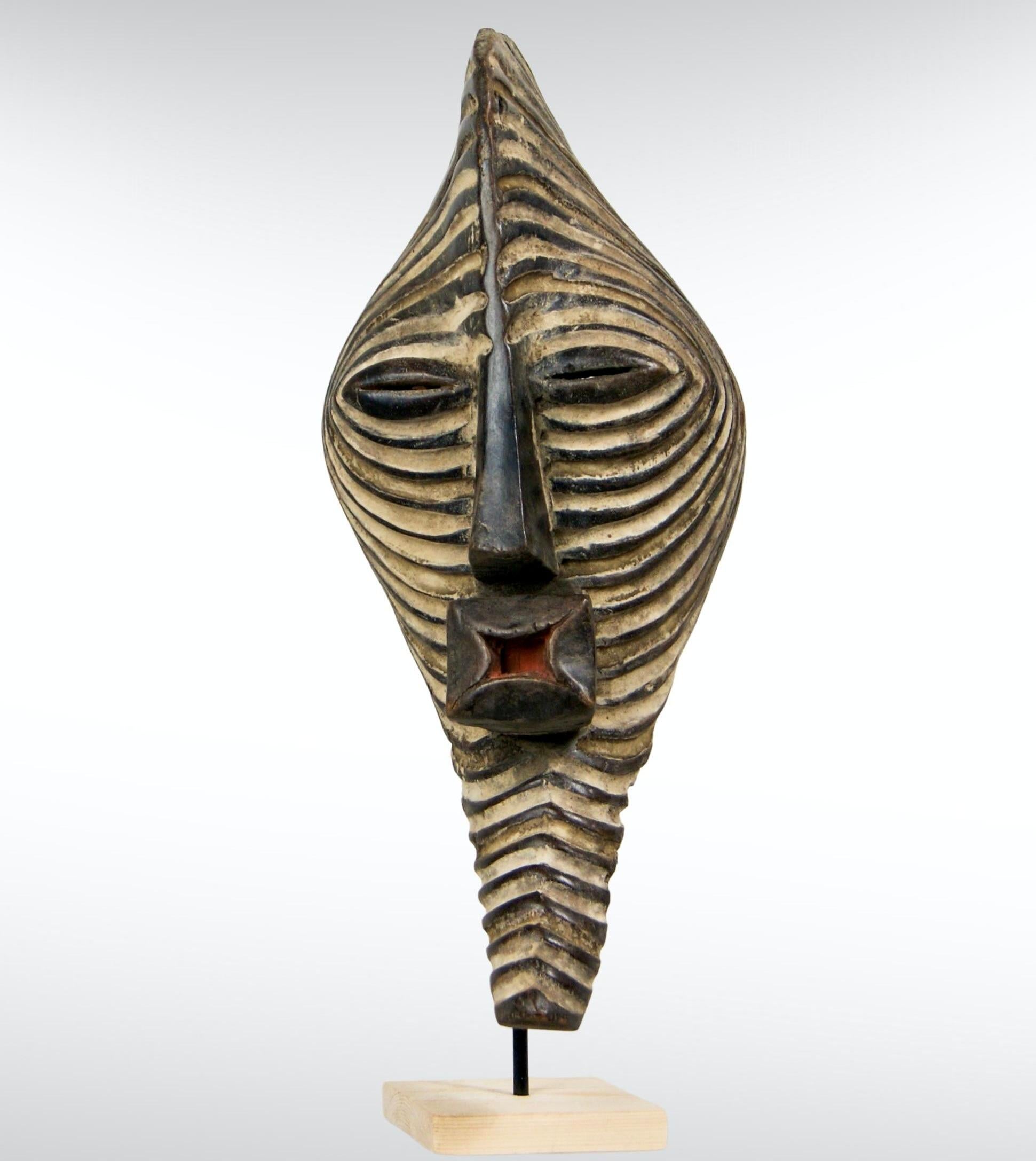 Large sized Songye Male Kifwebe mask from The Congo circa 1910s.
Traditionally, the Kifwebe mask is very symbolic in the Bantu culture of central Africa.
Male Kifwebe masks were mainly used for initiation ceremonies, circumcisions, enthronements and