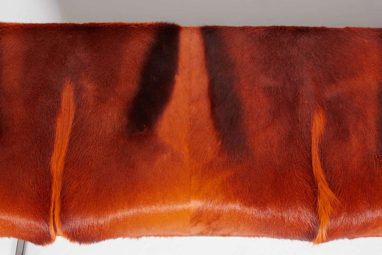 American African Springbok Burnt-Orange Fur Bench with Black Chrome Frame For Sale