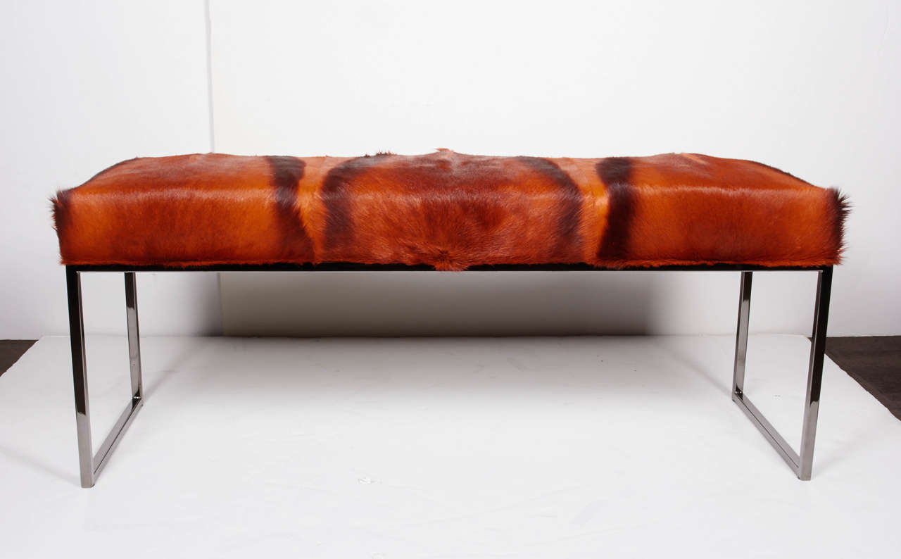 Burnt Orange African Springbok Bench with Black Chrome Frame In Excellent Condition For Sale In Fort Lauderdale, FL