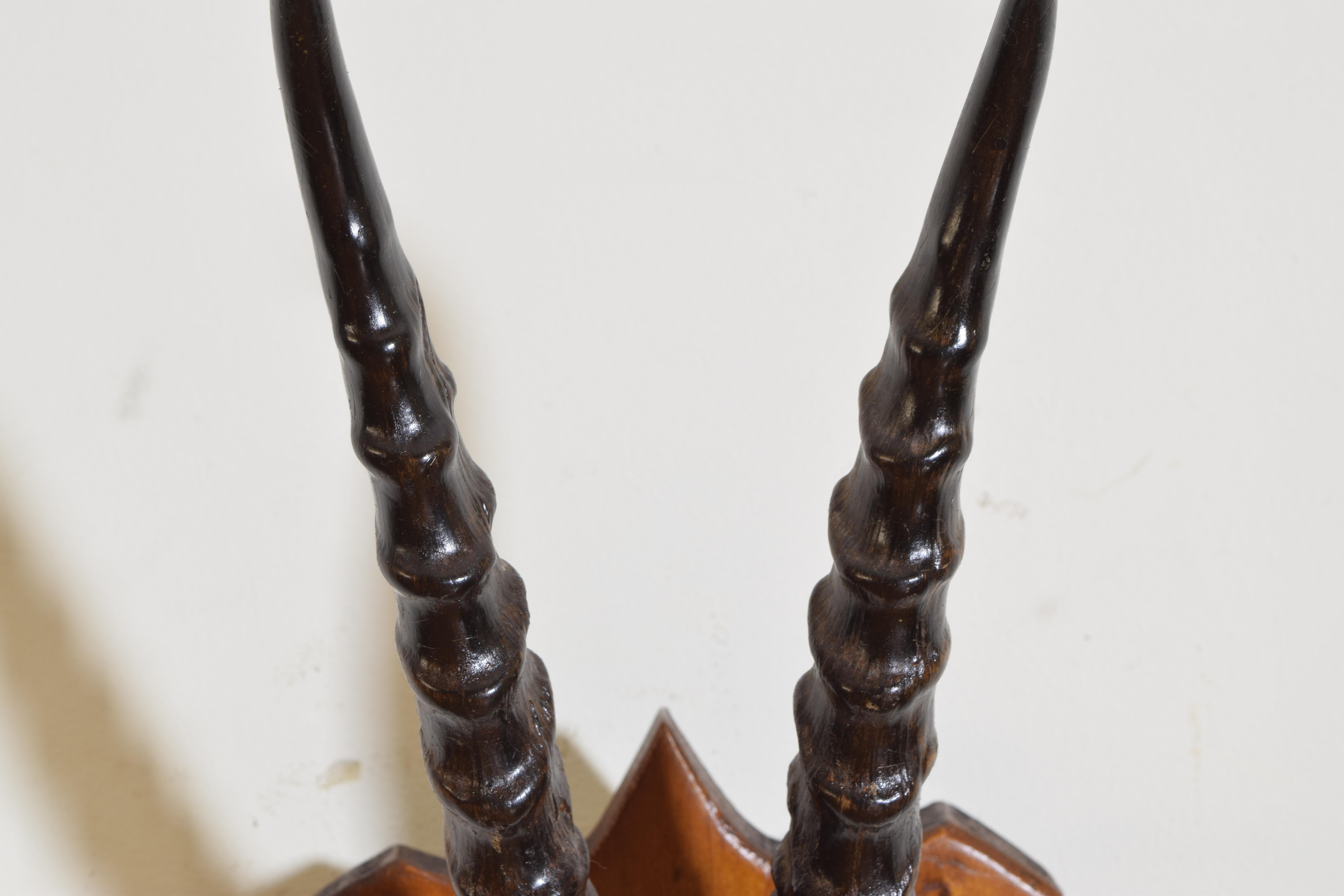 Horn African Springbok Mount, Early 20th Century For Sale
