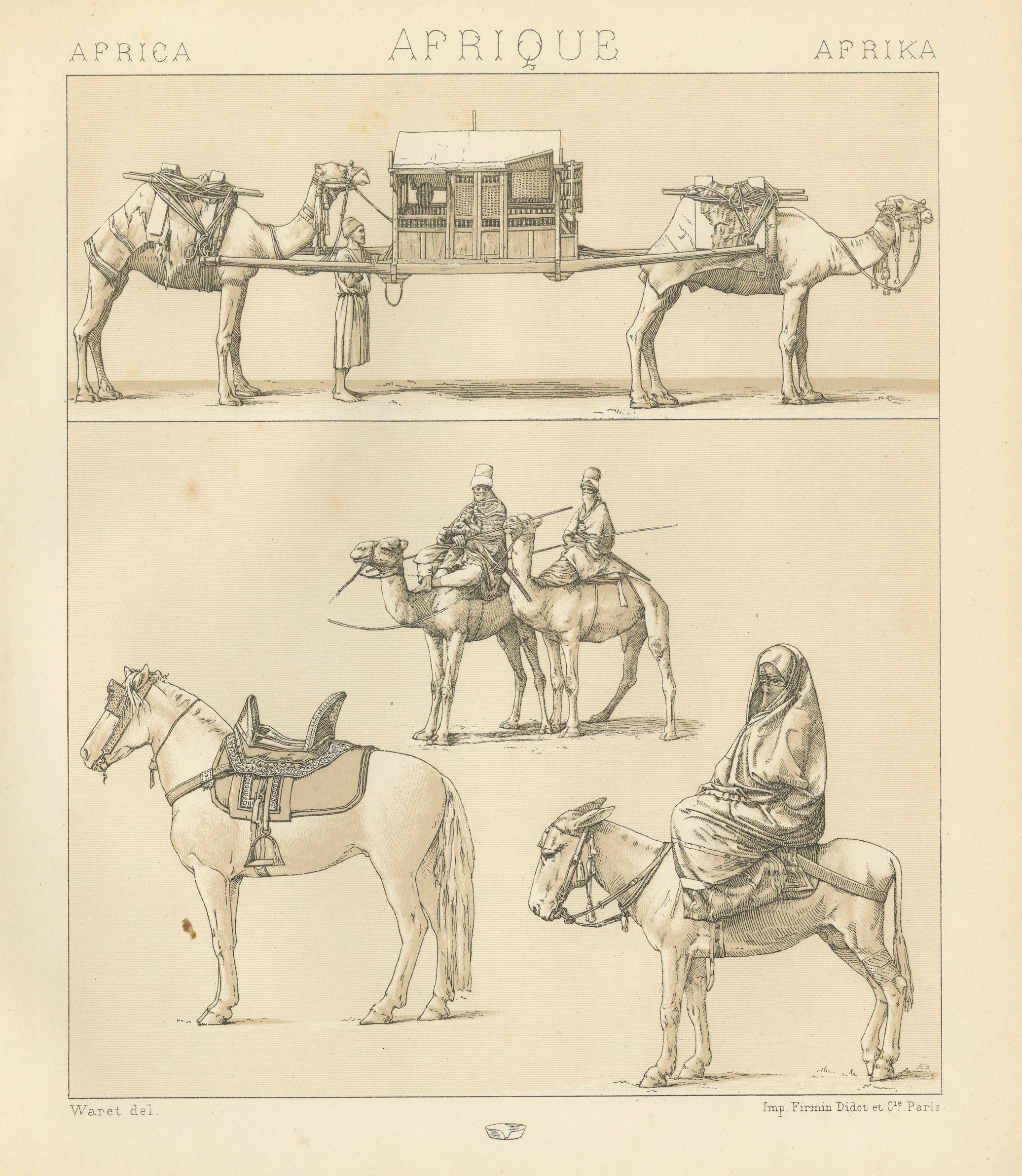 African Transport & Camel Litter, Racinet Afrique Plate, 1888