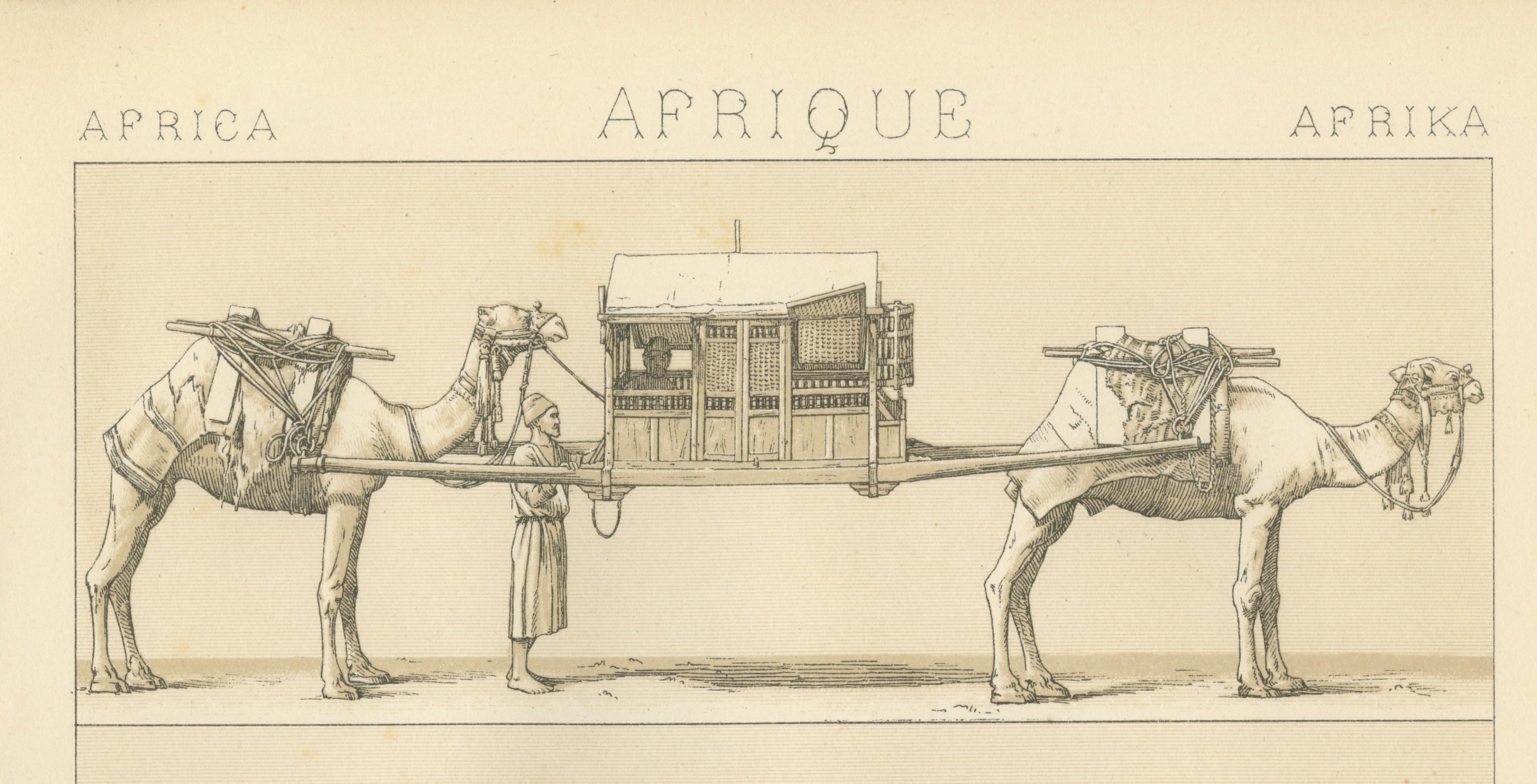 African Transport & Camel Litter, Racinet Afrique Plate, 1888