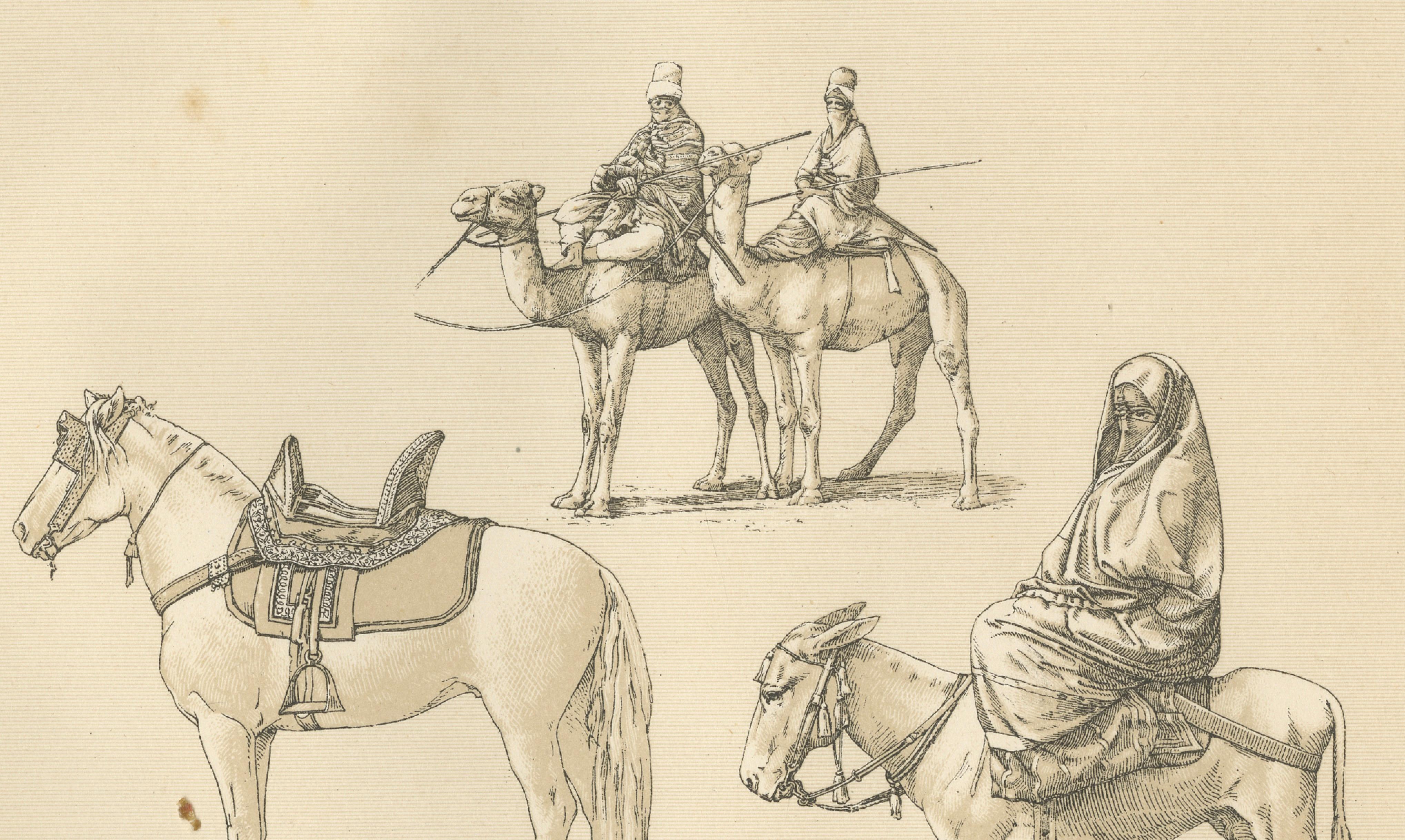 African Transport & Camel Litter, Racinet Afrique Plate, 1888