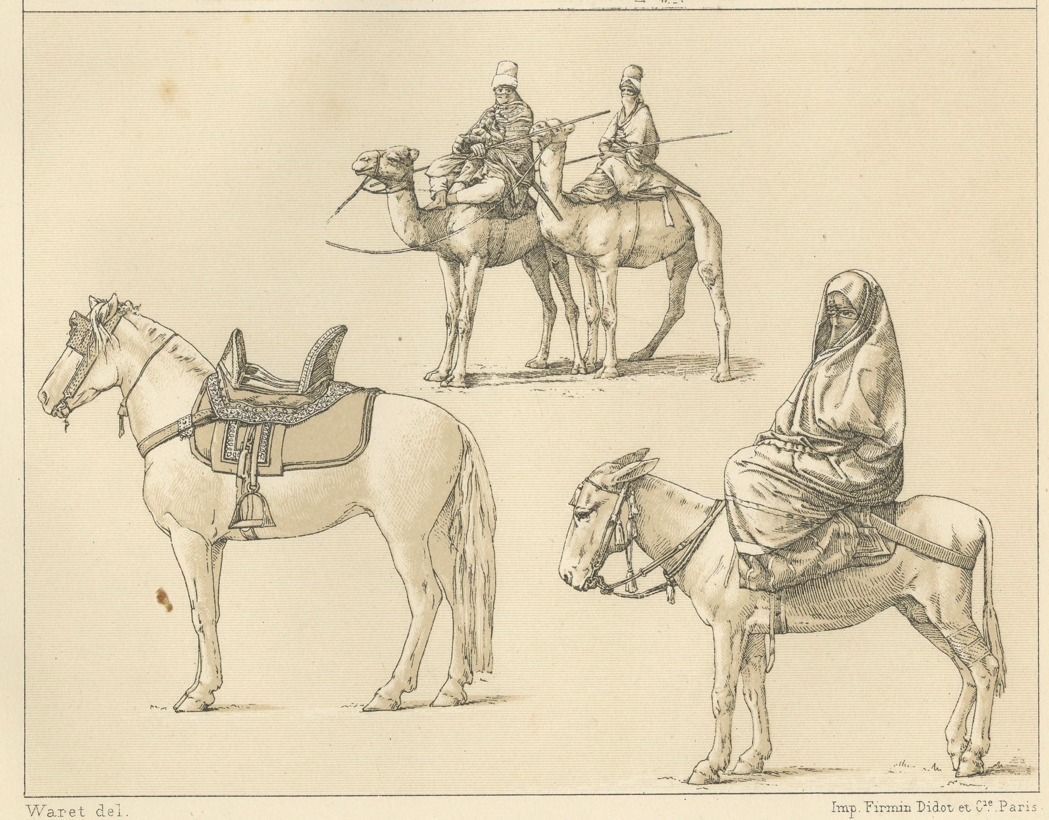 African Transport & Camel Litter, Racinet Afrique Plate, 1888