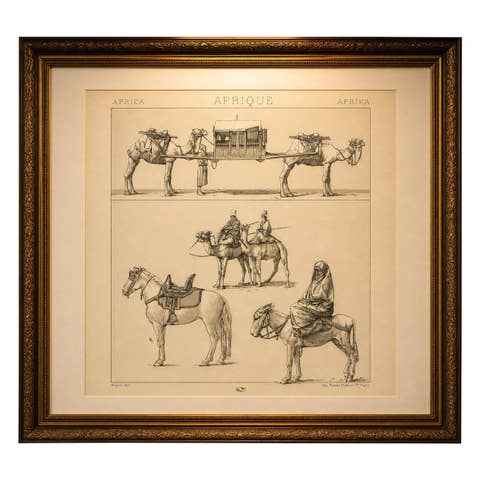 African Transport & Camel Litter, Racinet Afrique Plate, 1888