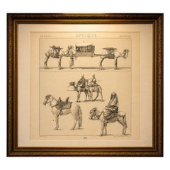 African Transport & Camel Litter, Racinet Afrique Plate, 1888
