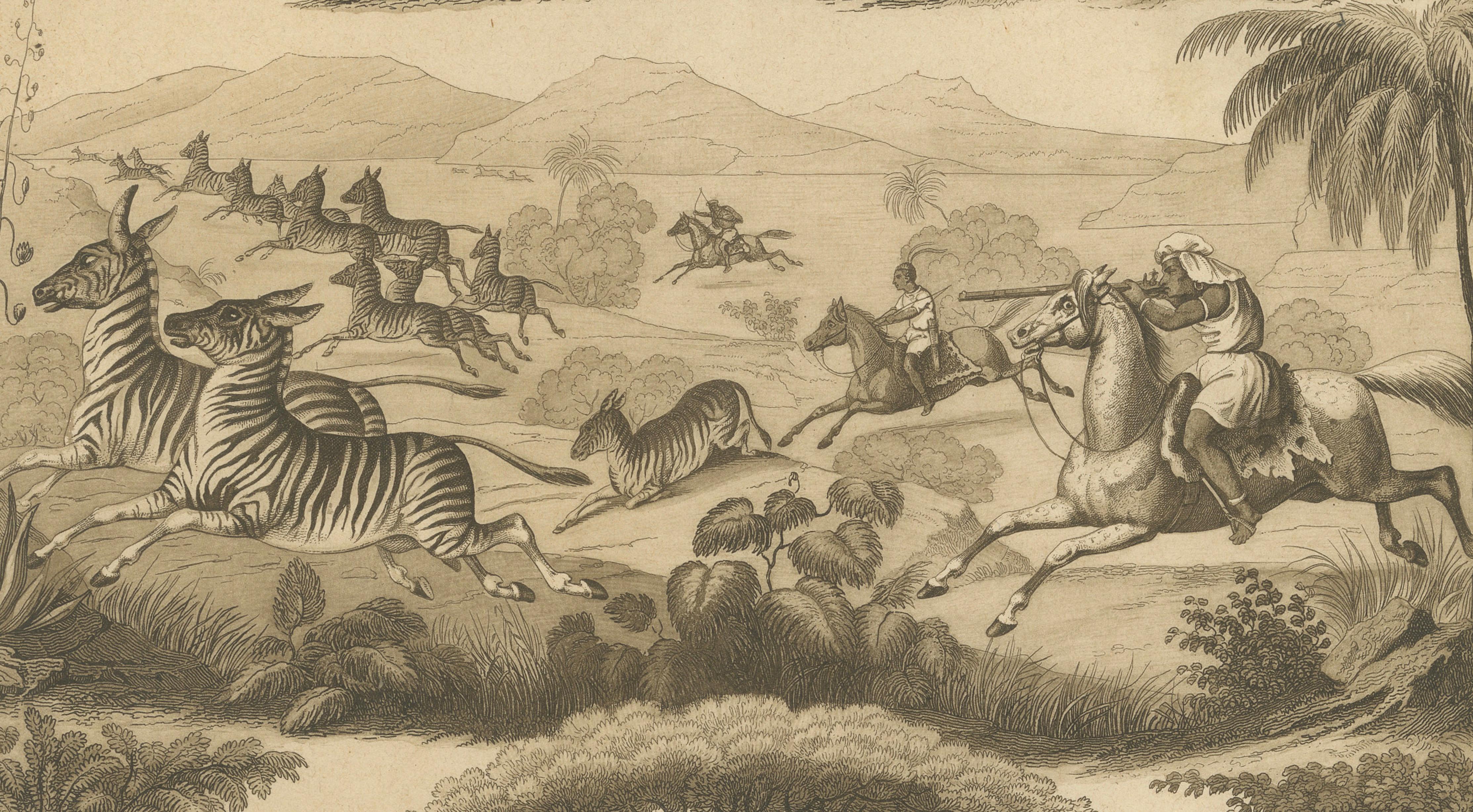 African Wildlife and Hunting Scene – Antique German Engraving, c.1840 In Good Condition For Sale In Langweer, NL