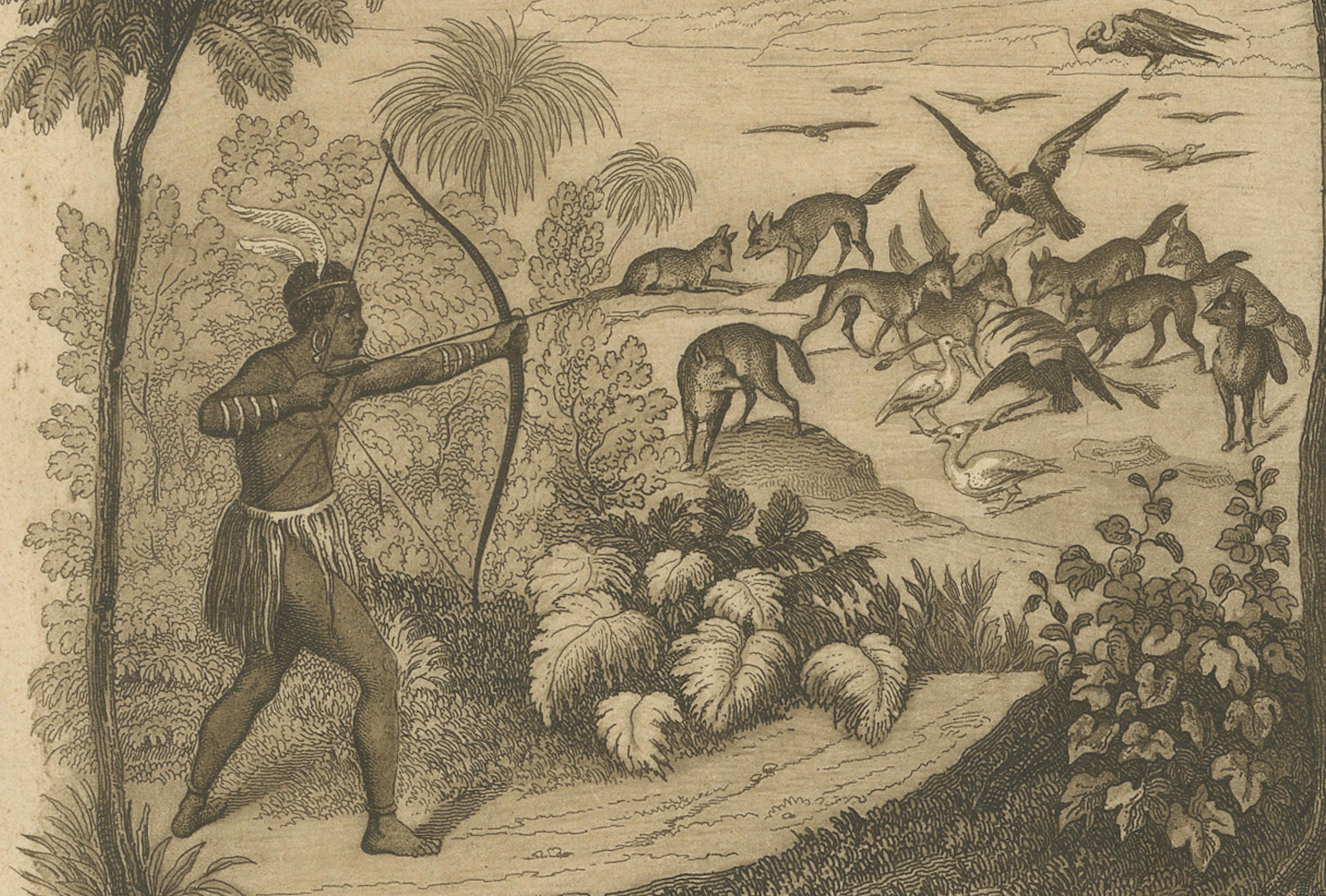 19th Century African Wildlife and Hunting Scene – Antique German Engraving, c.1840 For Sale