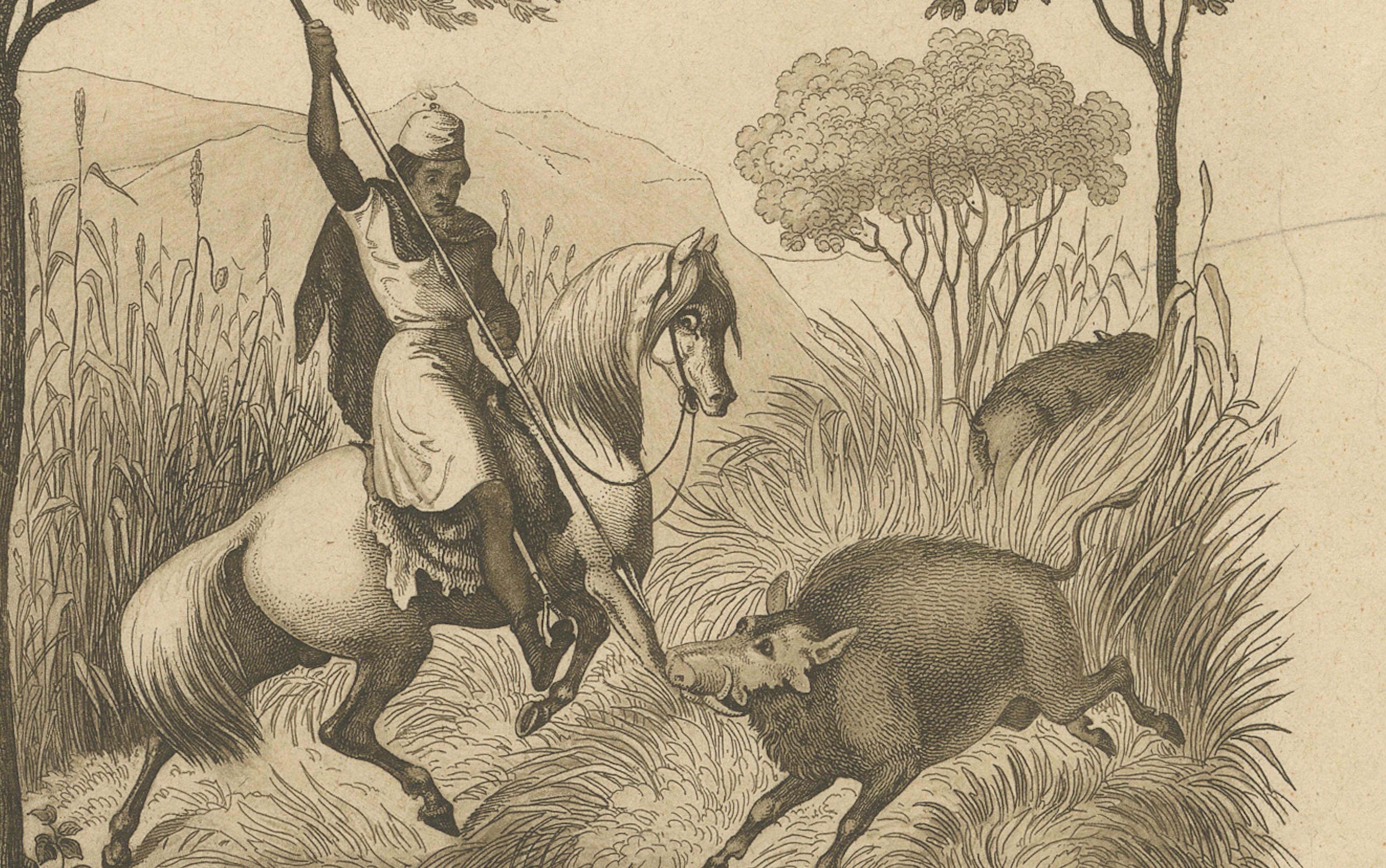 Paper African Wildlife and Hunting Scene – Antique German Engraving, c.1840 For Sale