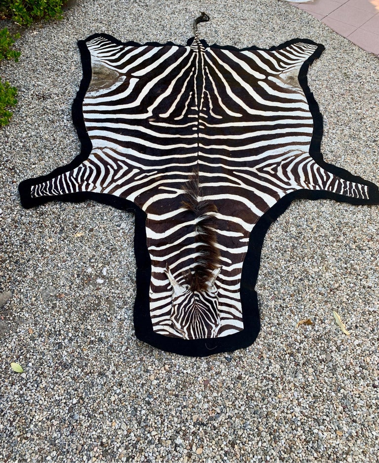 African Burchell Zebra Hide Rug at 1stDibs