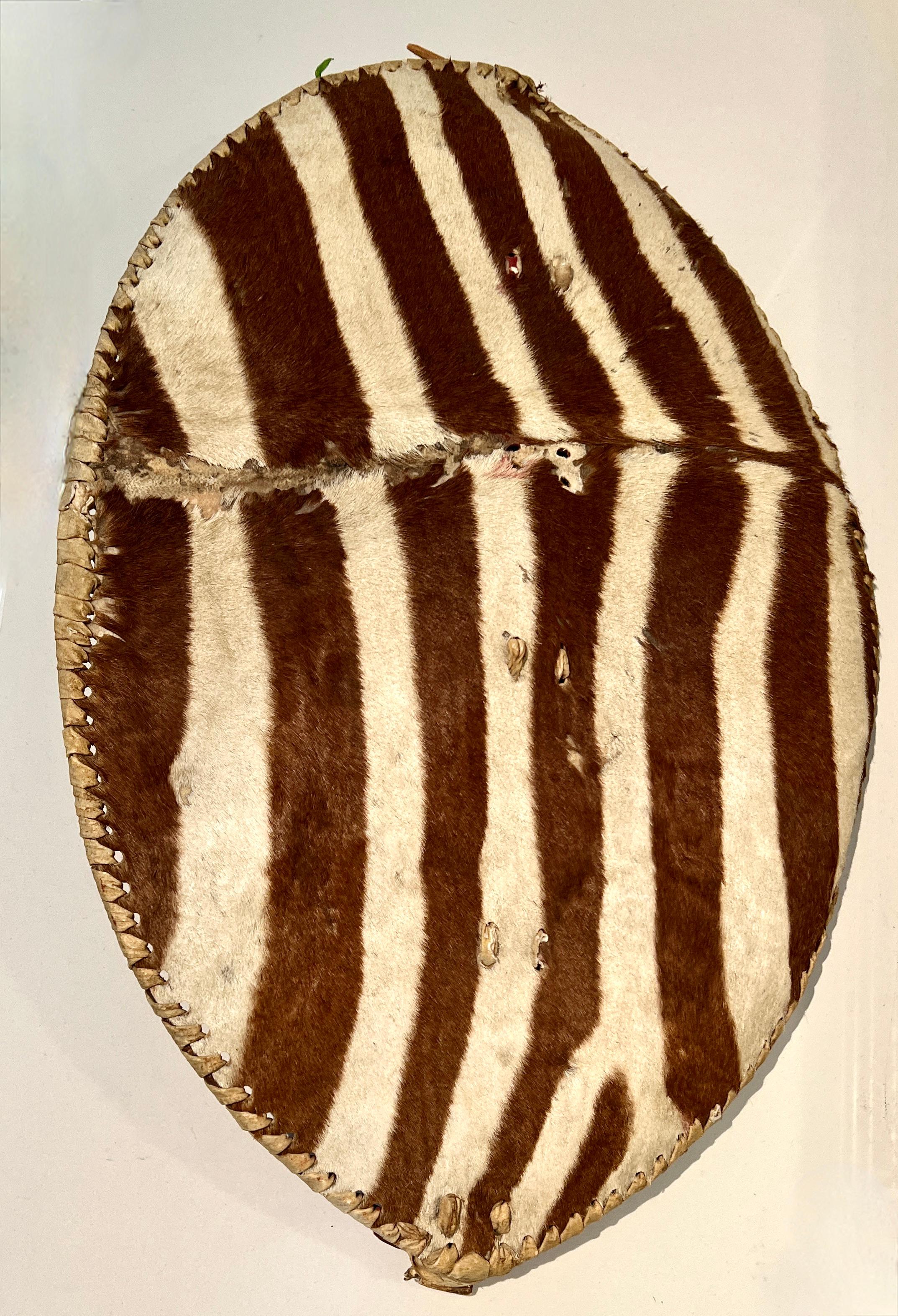 An original Zulu Shield made of Zebra Hide and lashed with woven leather.  The inside back is made of wood, and handle portion was cured, covered and painted red - there are some condition issues with the handle side, however the handle works well