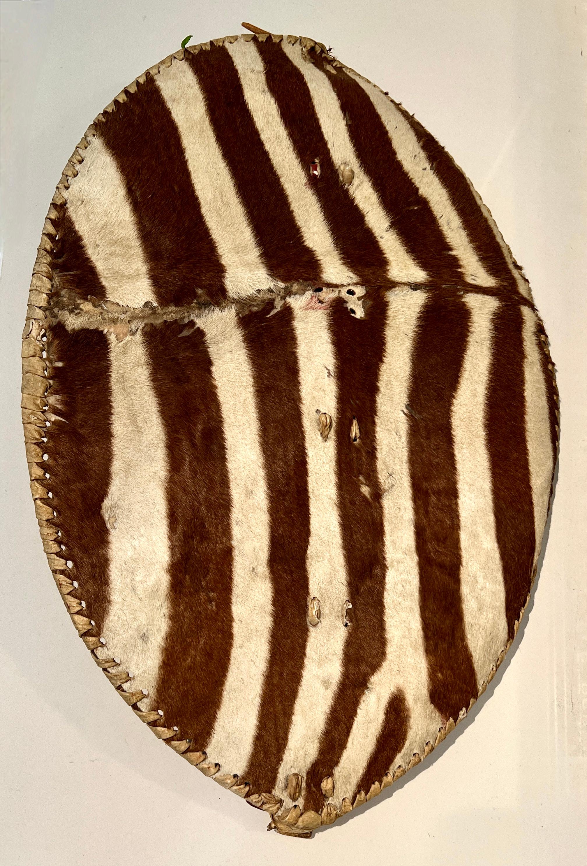 Escudo zulú africano de piel de cebra hecho a mano con correa de cuero Arte popular en venta