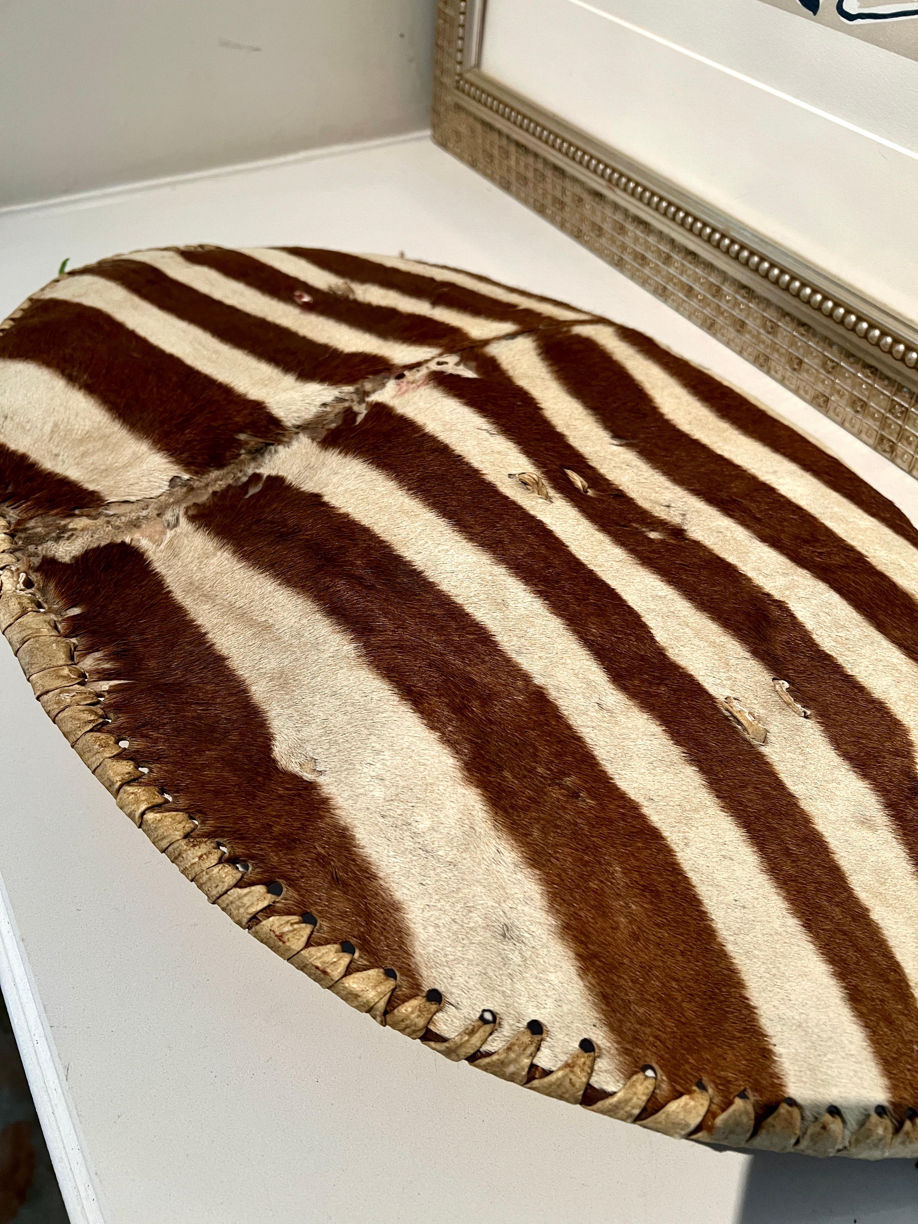 African Hand Crafted Zebra Hide Zulu Shield with Leather Lashing In Good Condition For Sale In Los Angeles, CA