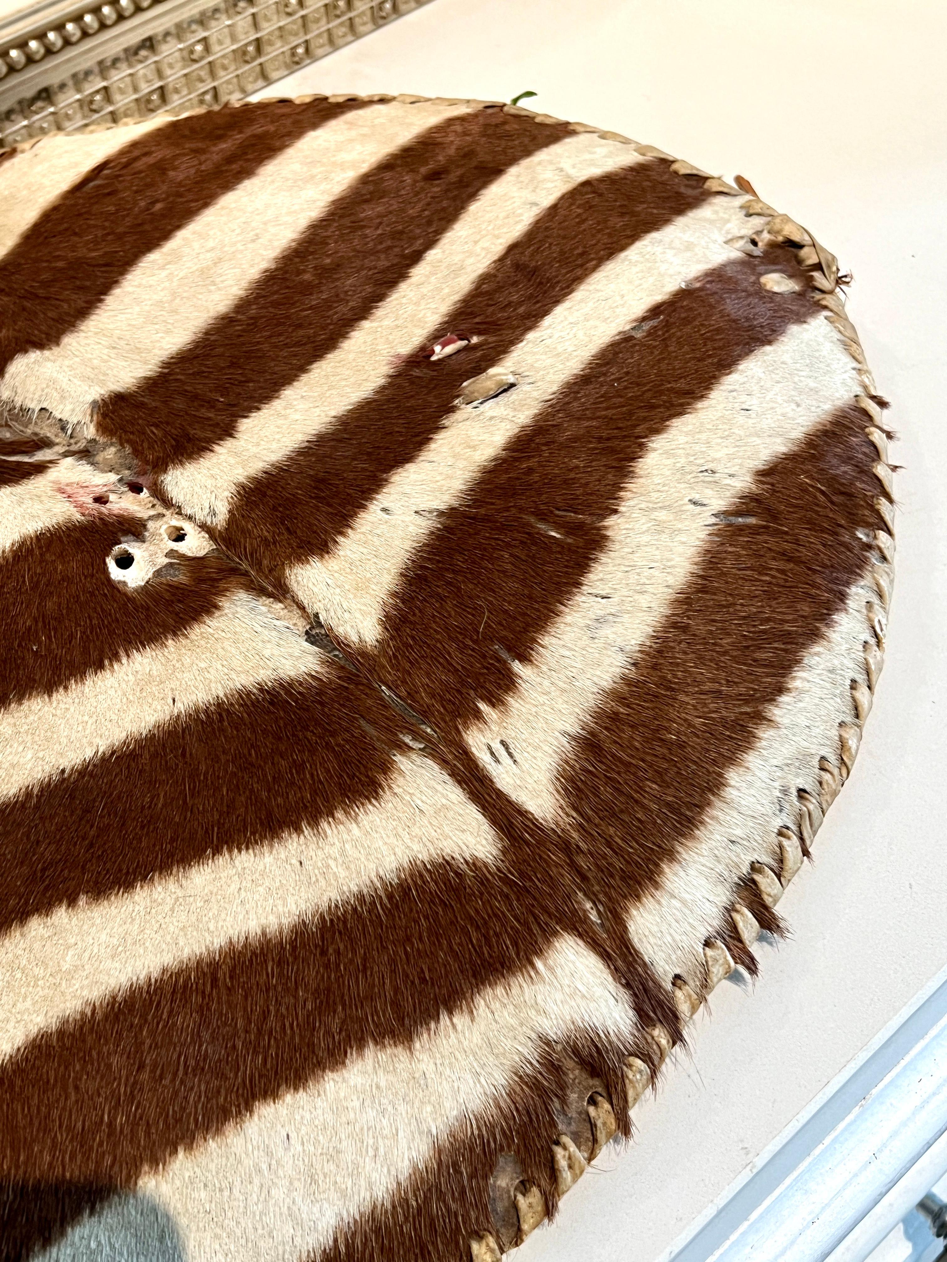 African Hand Crafted Zebra Hide Zulu Shield with Leather Lashing For Sale 3