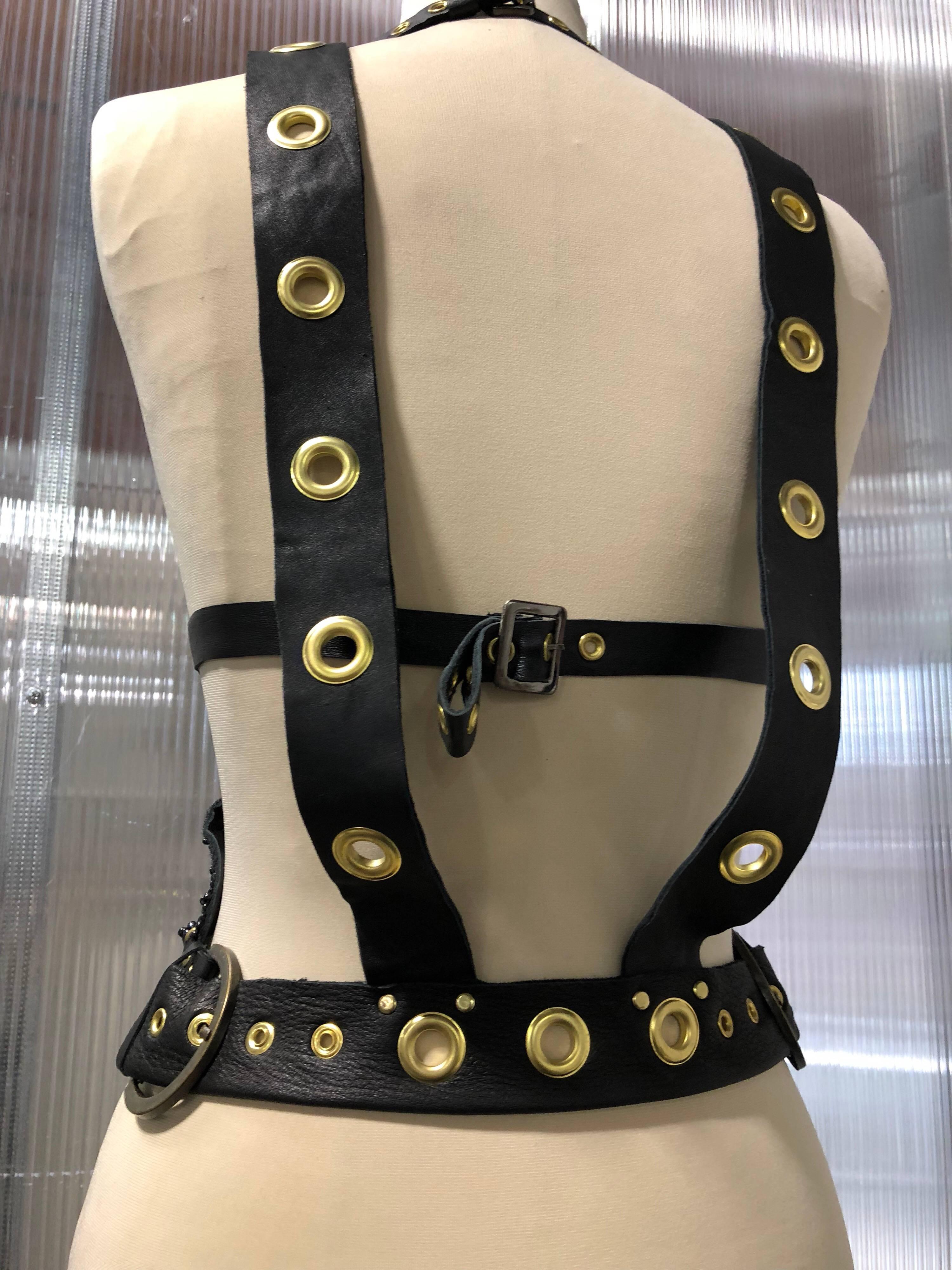 black harness with gold hardware