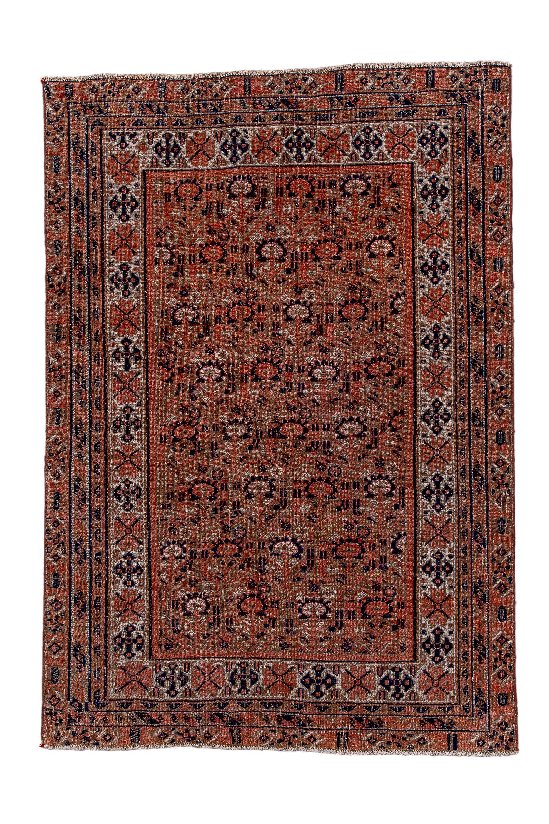 Non si tratta di un Belouch, ma di un tappeto tribale Afshar con un campo marrone chiaro decorato con file sfalsate di fiori in ecru e blu scuro. Bordo principale ecru con croci blu scuro e rosette a X; diamanti bitonali decorano la fascia più