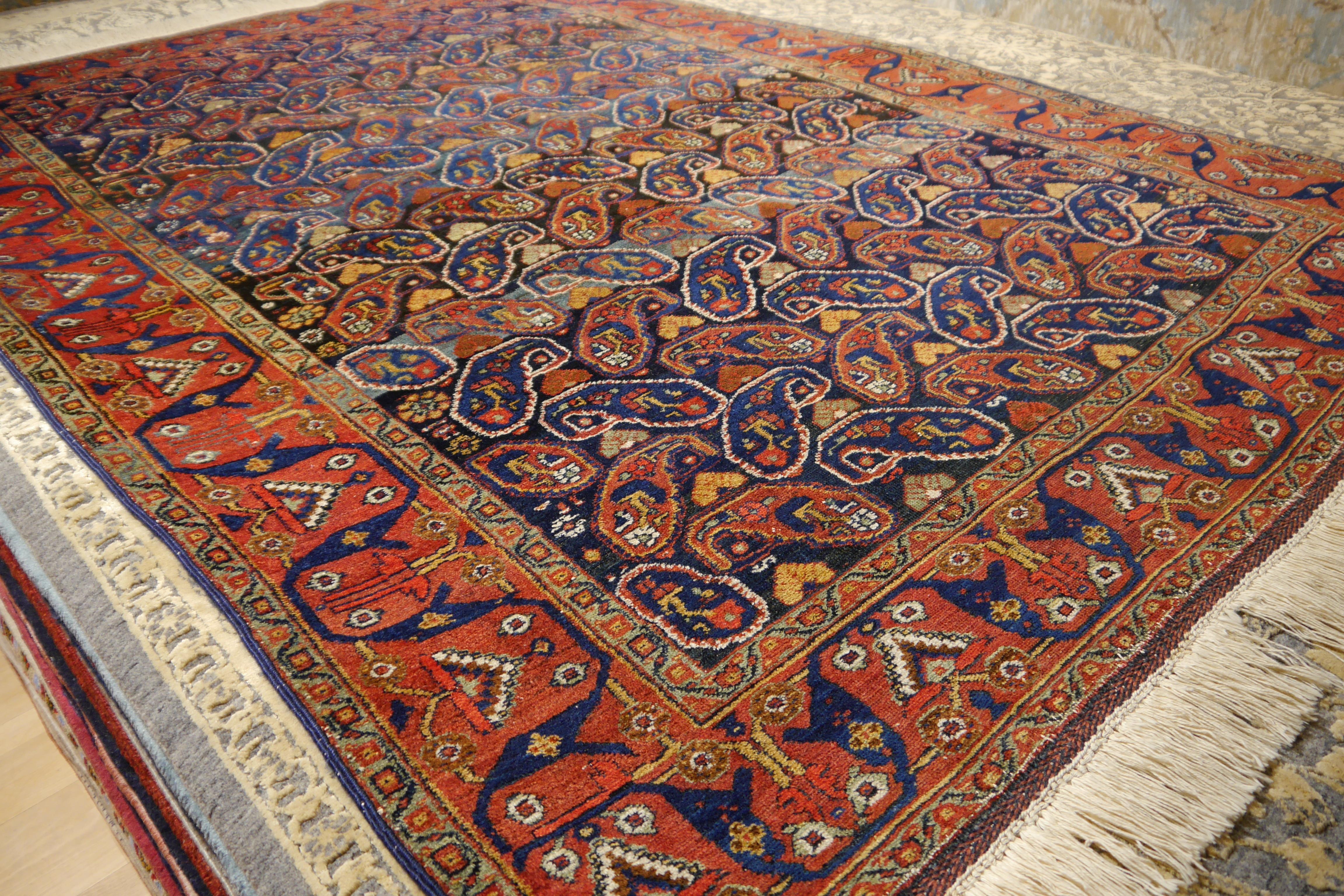Afshari antique rug  6.8 x 4.8 ft natural color Bothe design blue rust For Sale 2