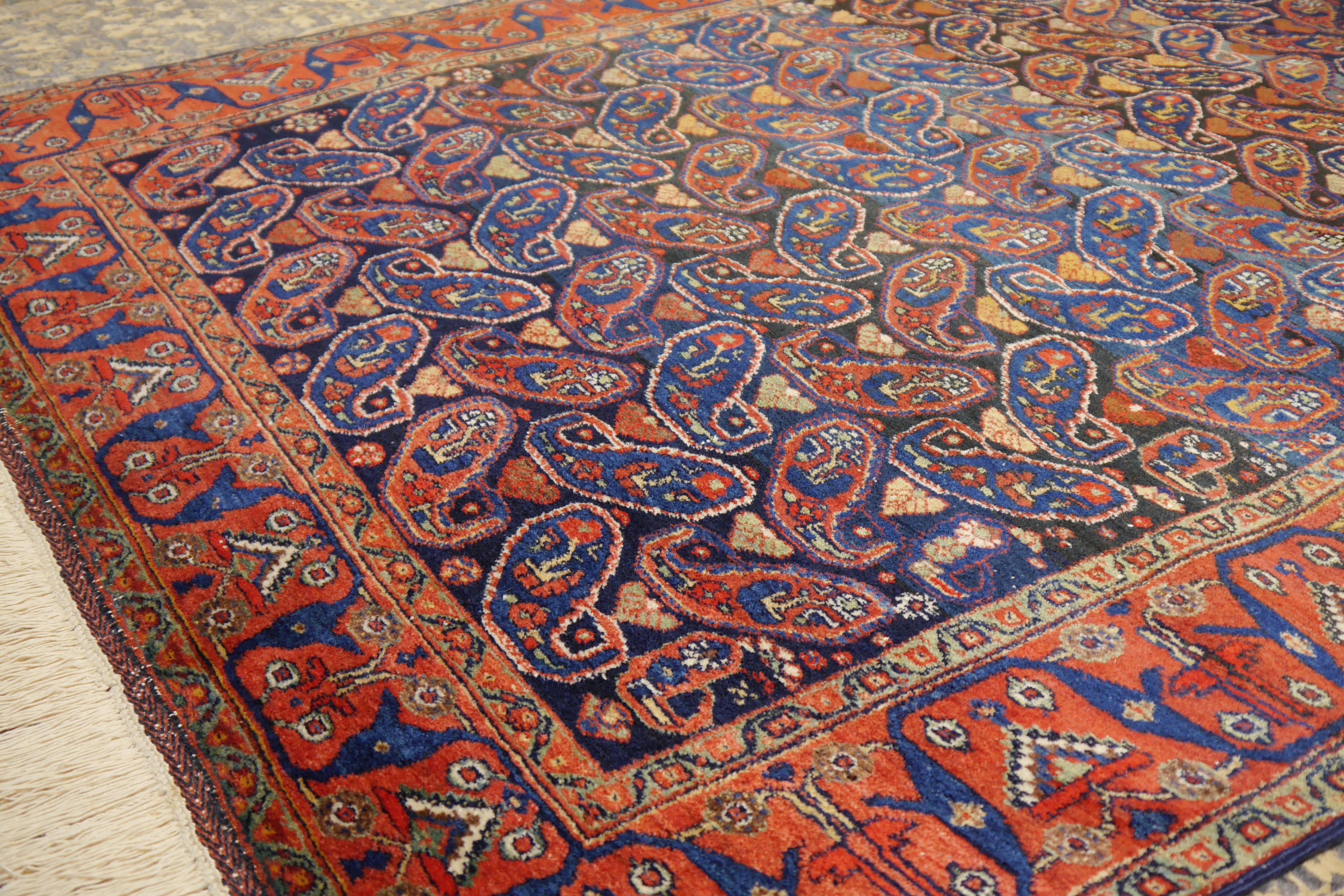 Afshari antique rug  6.8 x 4.8 ft natural color Bothe design blue rust For Sale 7