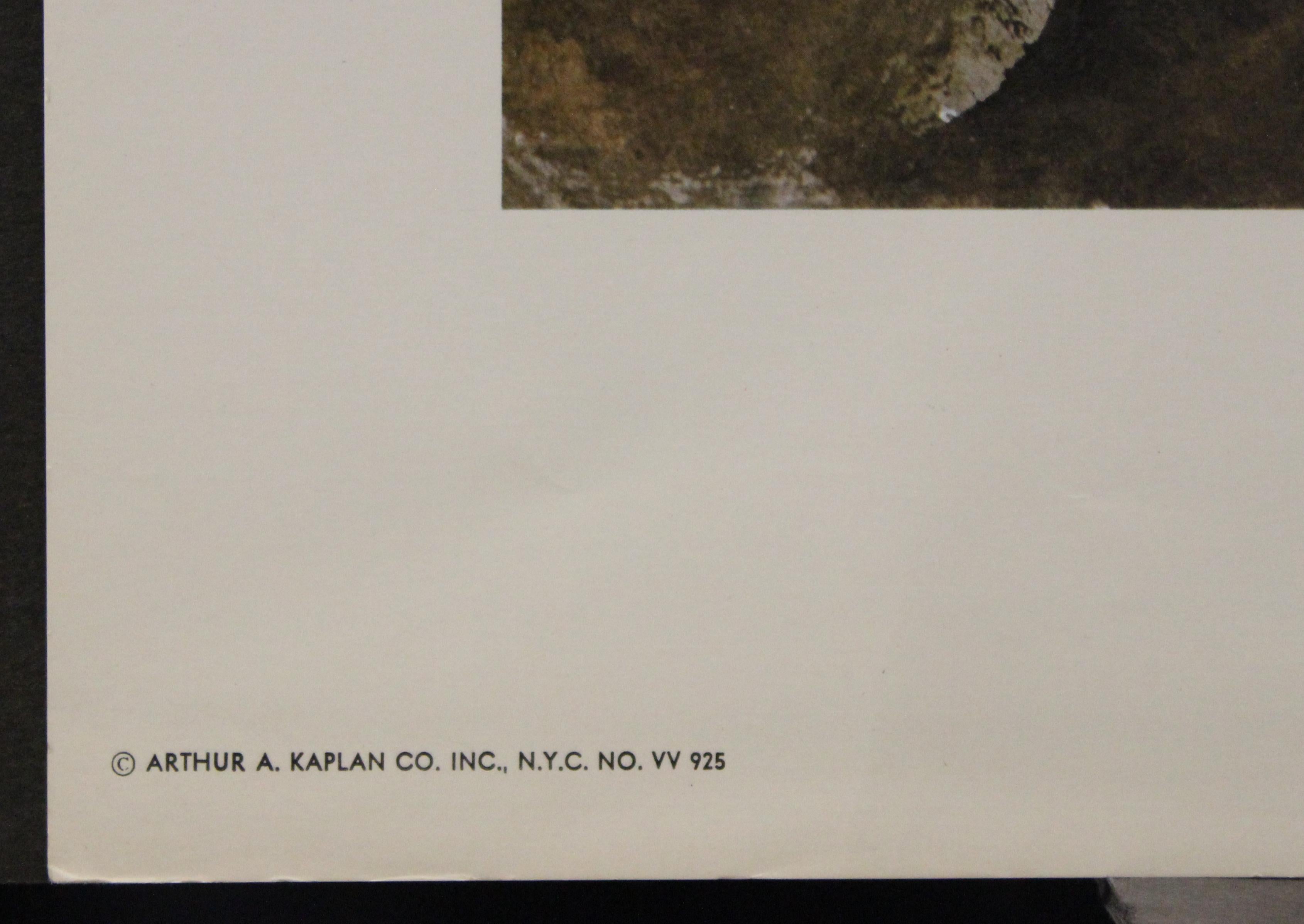 arthur a kaplan co inc ny litho